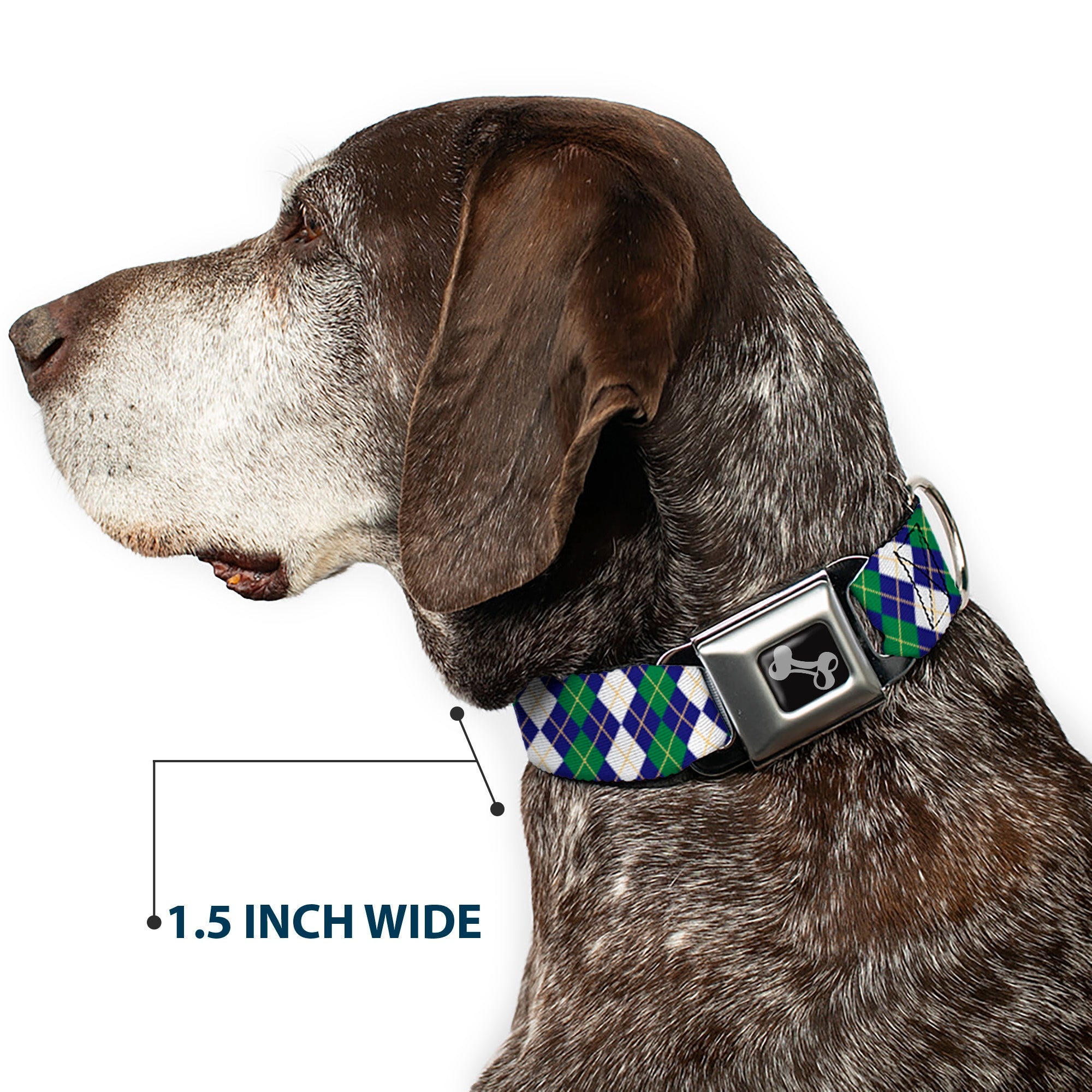 Buckle-Down Dog Bone Black/Silver Seatbelt Buckle Dog Collar - Argyle Navy/Green/White/Gold