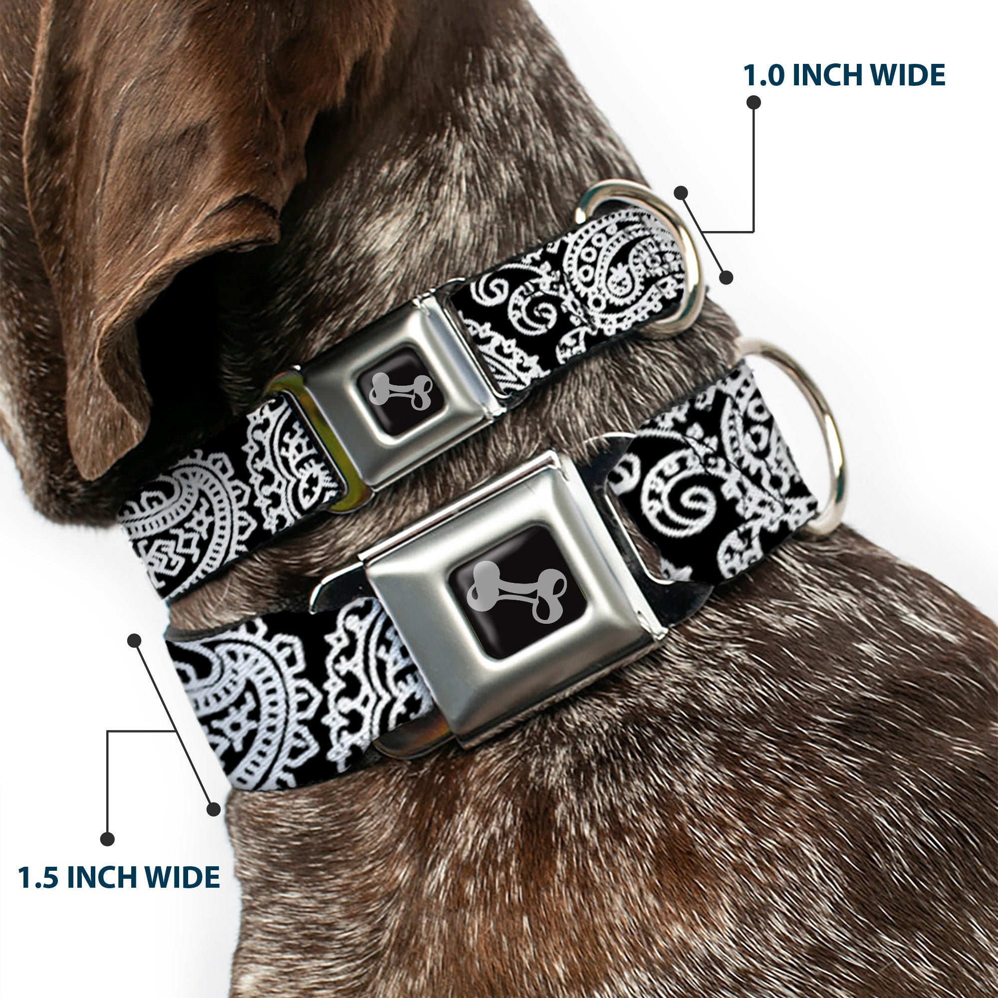 Dog Bone Seatbelt Buckle Collar - Bandana/Skulls Black/White