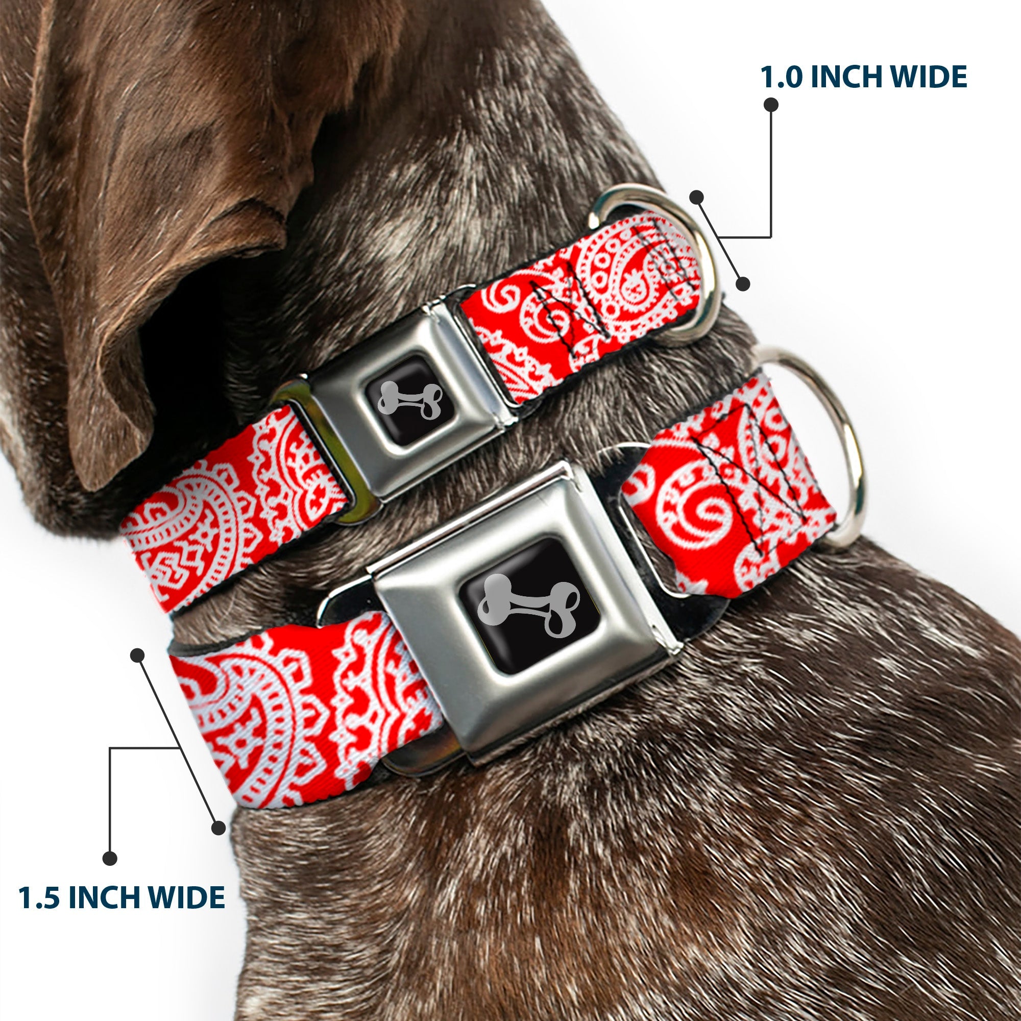Dog Bone Seatbelt Buckle Collar - Bandana/Skulls Red/White