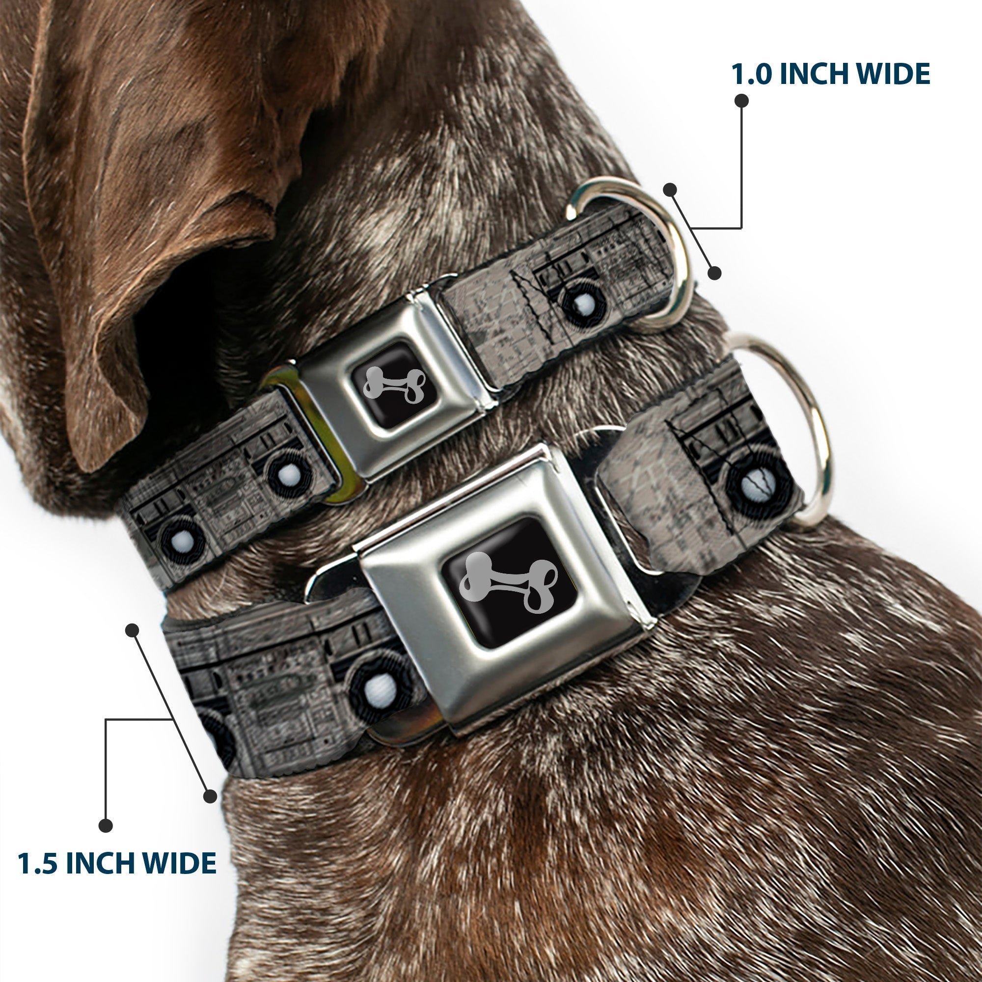 Dog Bone Seatbelt Buckle Collar - Boombox