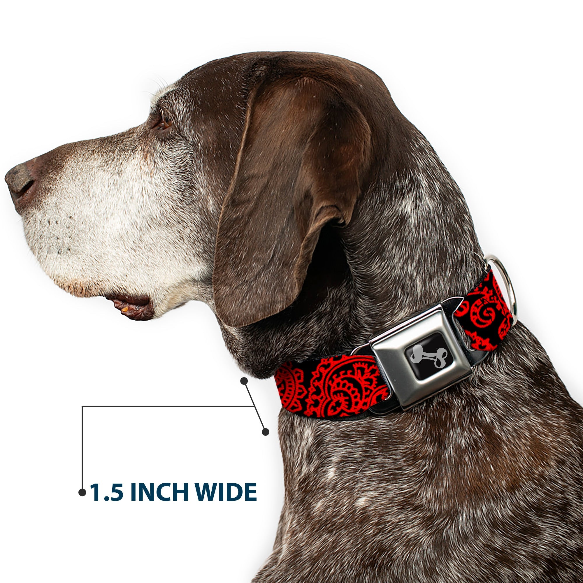 Dog Bone Seatbelt Buckle Collar - Bandana/Skulls Black/Red