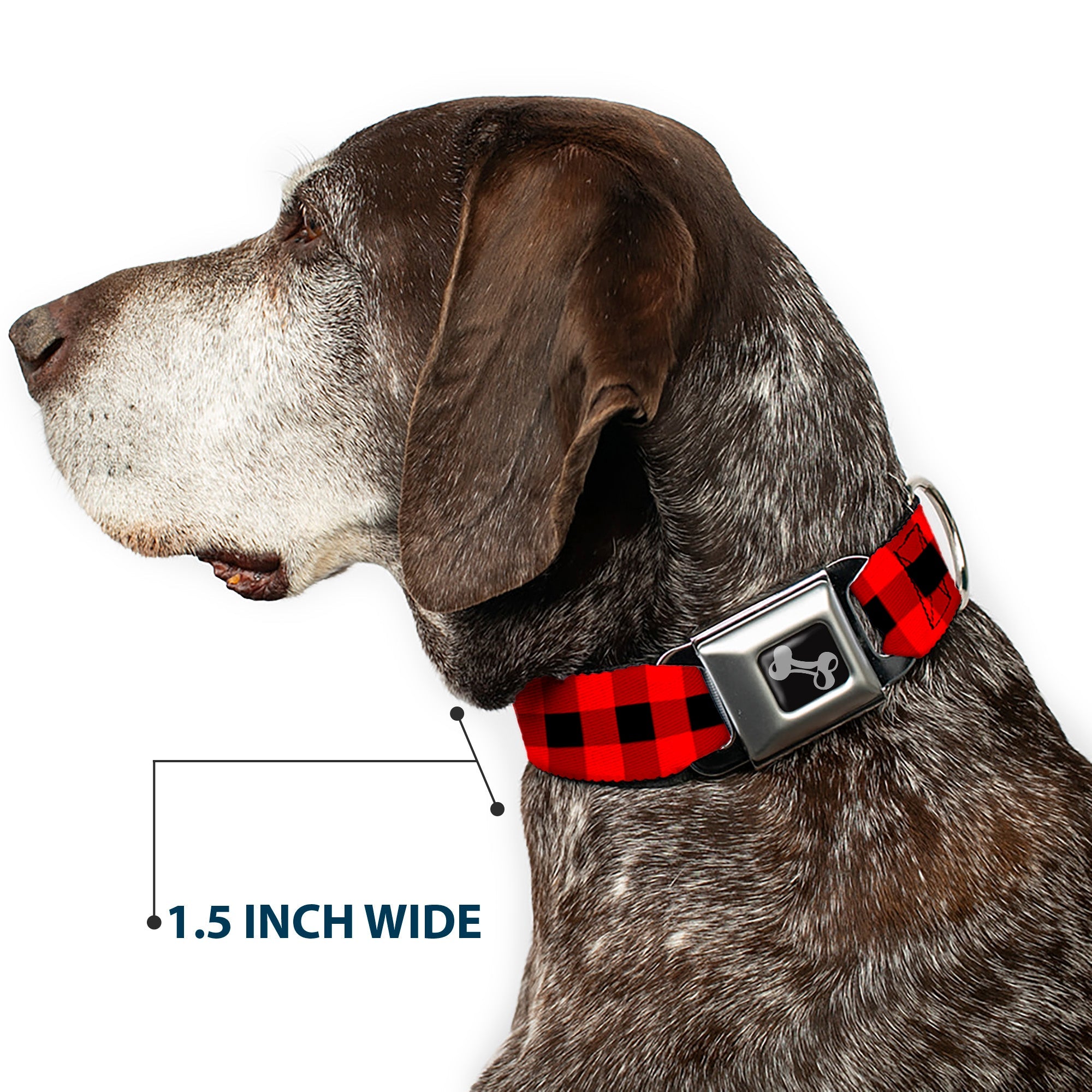 Dog Bone Seatbelt Buckle Collar - Buffalo Plaid Black/Red