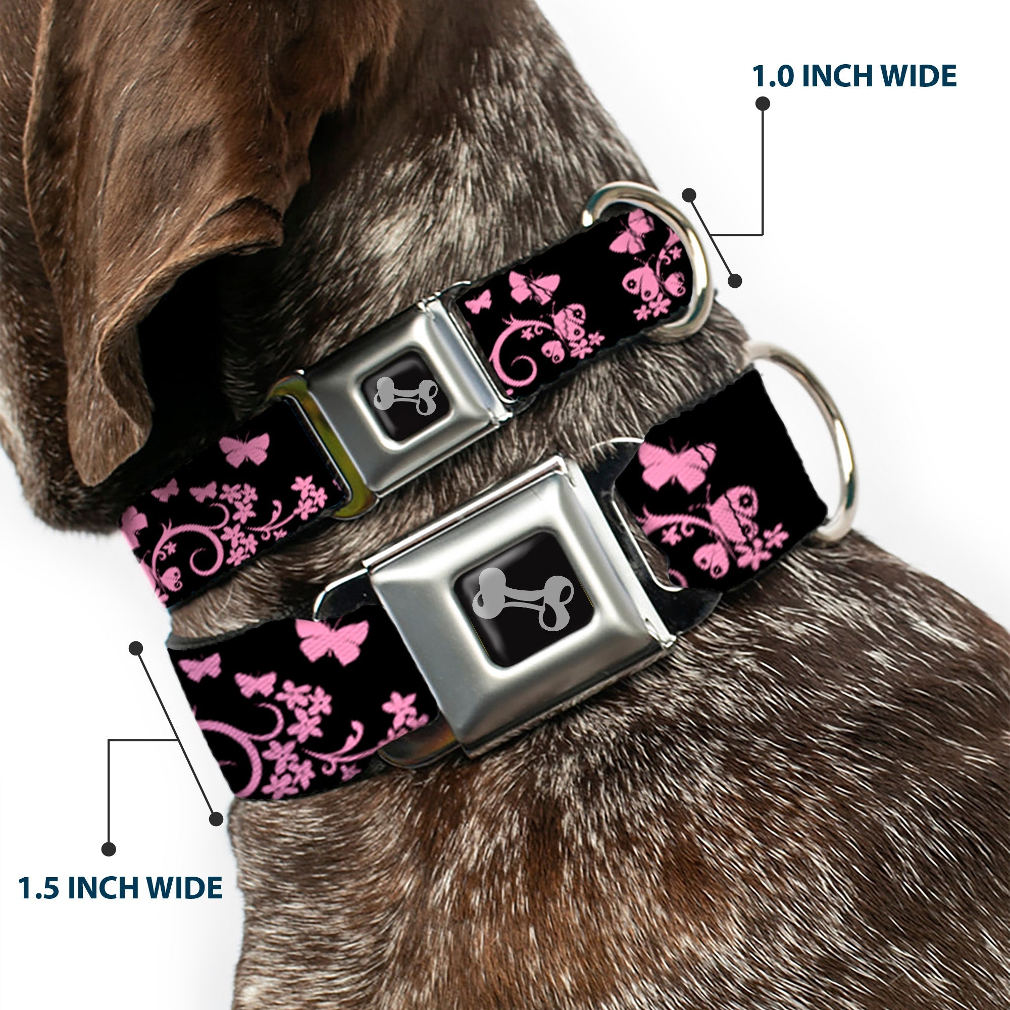 Dog Bone Seatbelt Buckle Collar - Butterfly Garden Black/Pink