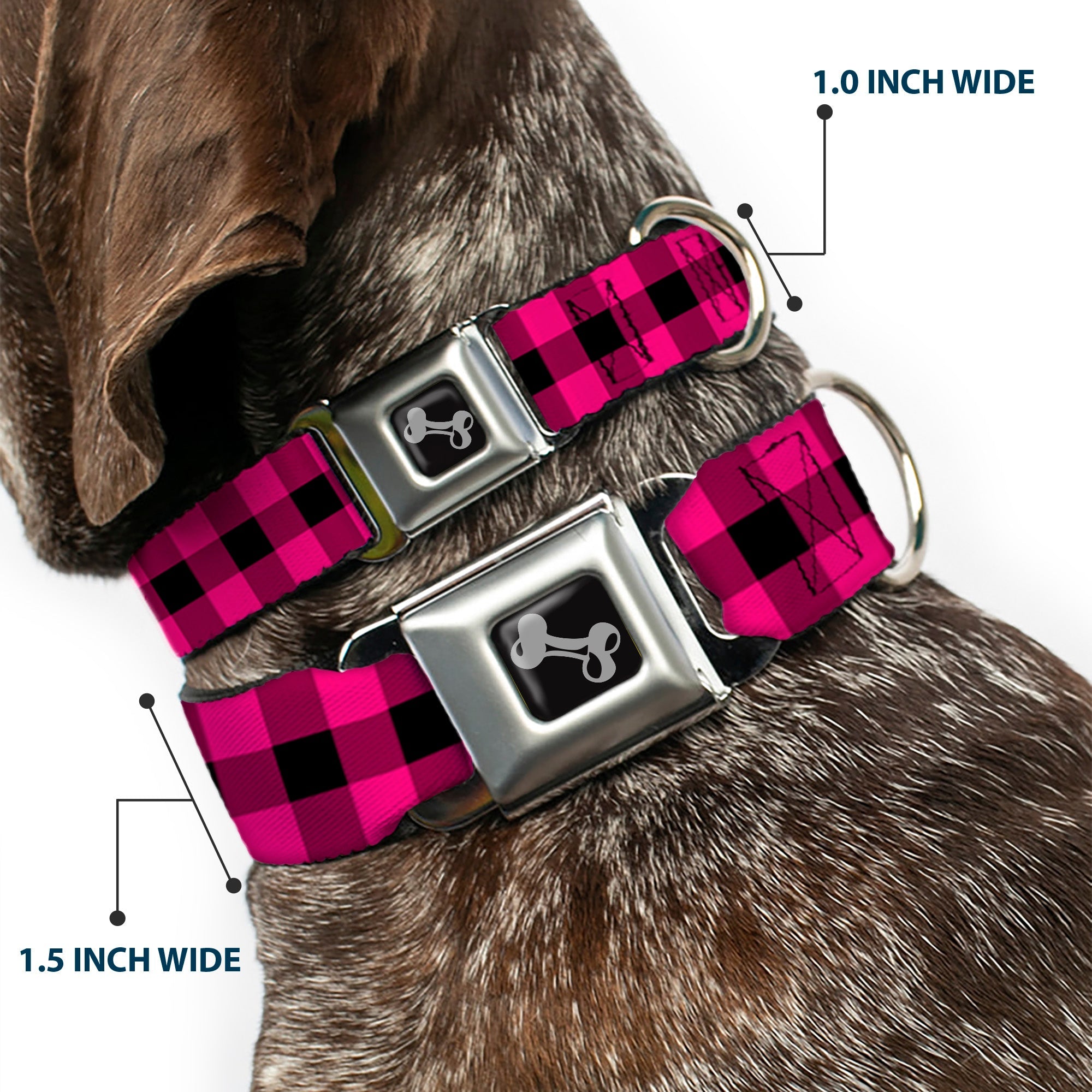 Dog Bone Seatbelt Buckle Collar - Buffalo Plaid Black/Fuchsia