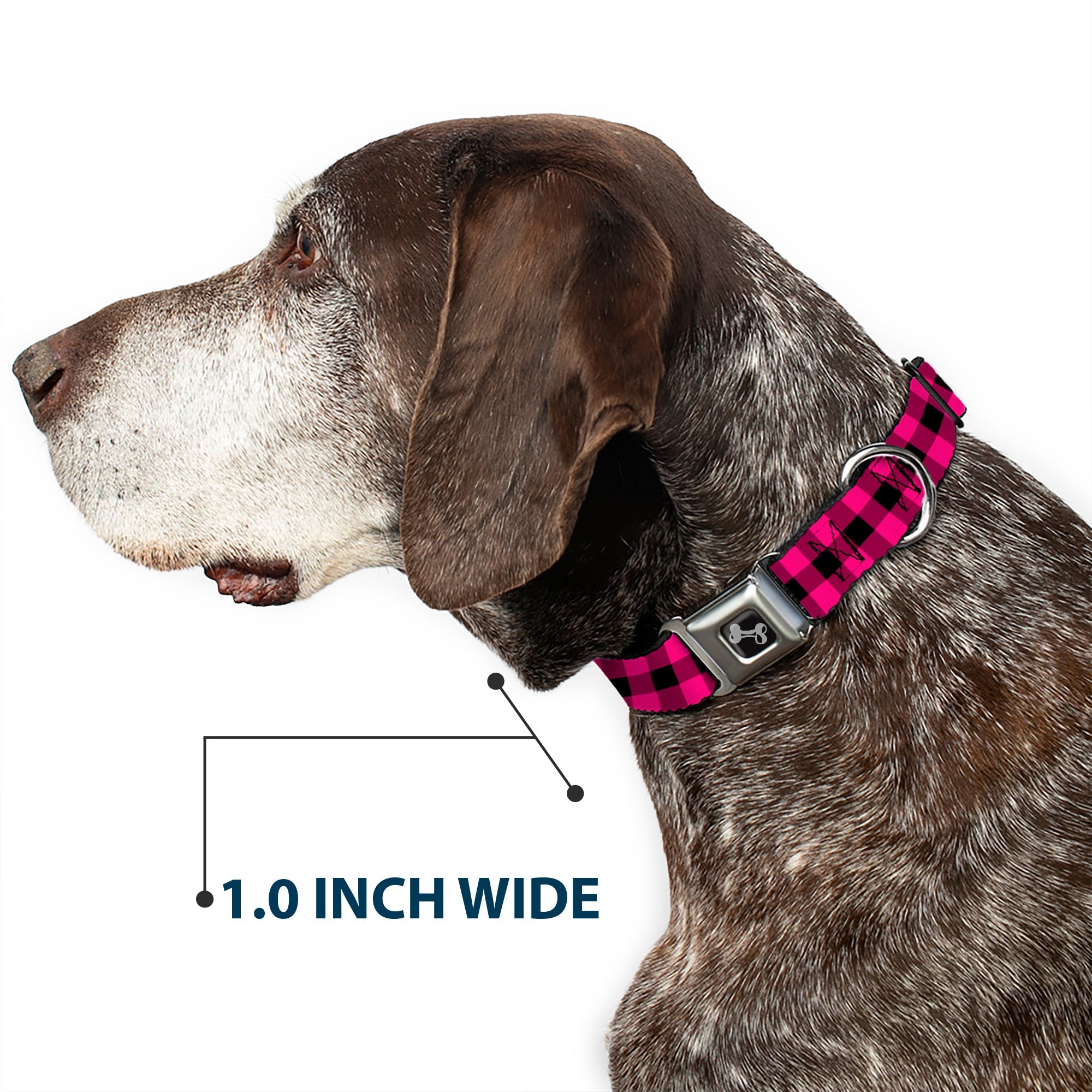 Dog Bone Seatbelt Buckle Collar - Buffalo Plaid Black/Fuchsia
