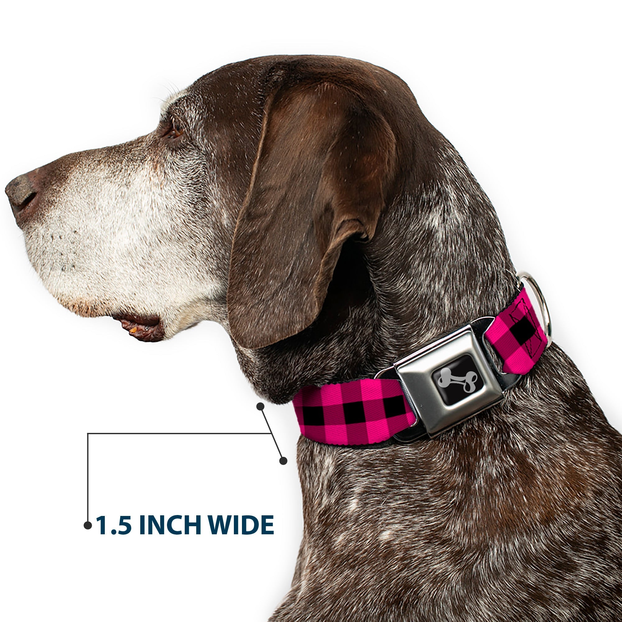 Dog Bone Seatbelt Buckle Collar - Buffalo Plaid Black/Fuchsia