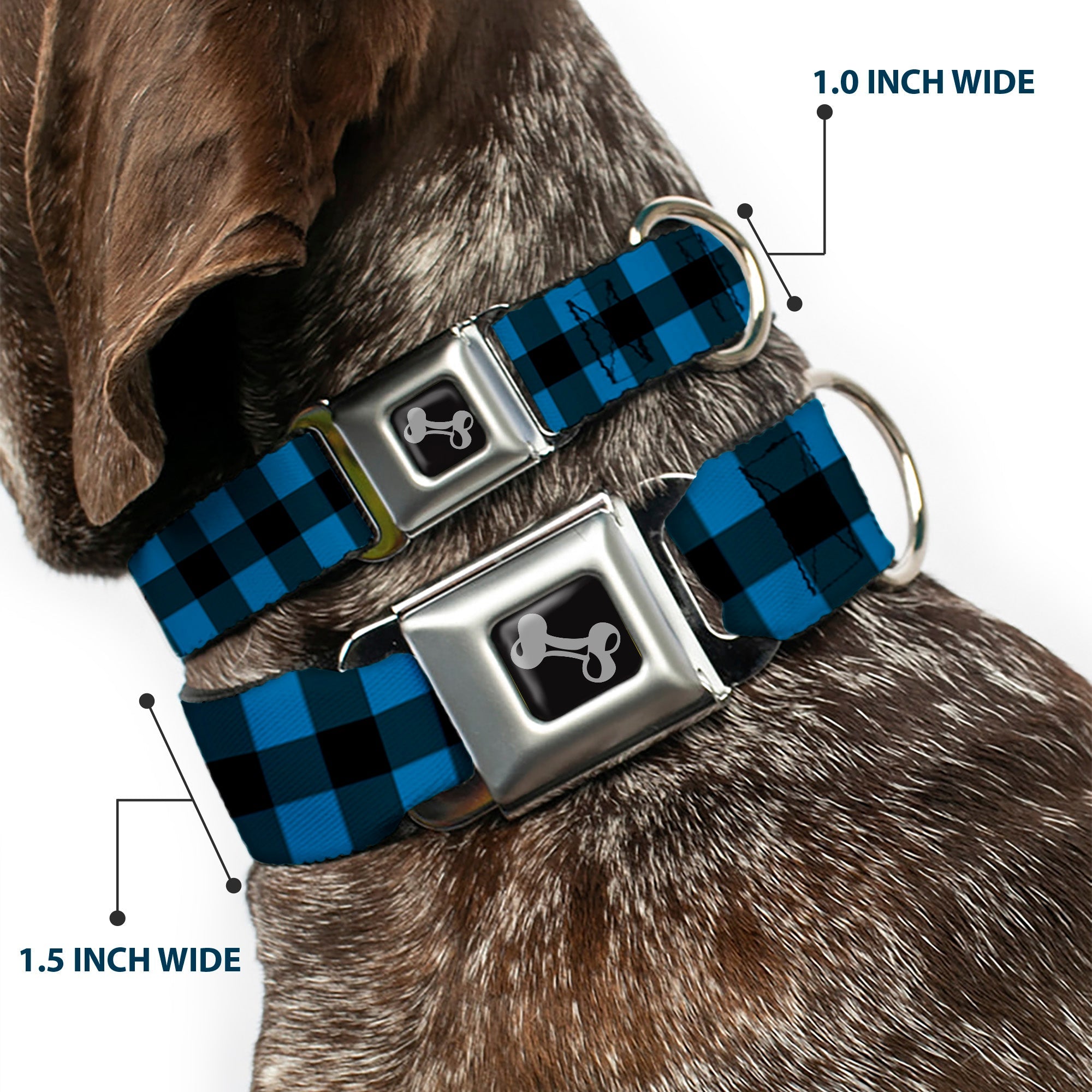 Dog Bone Seatbelt Buckle Collar - Buffalo Plaid Black/Turquoise