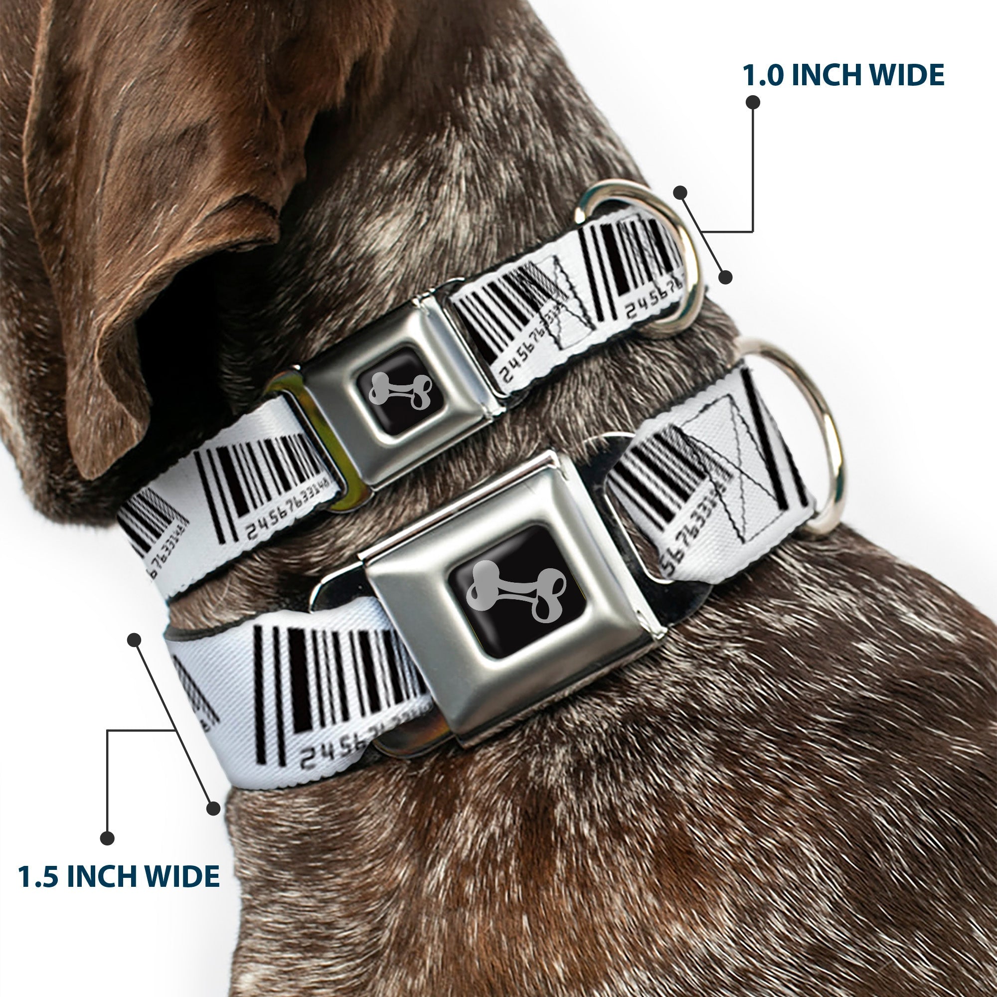 Dog Bone Seatbelt Buckle Collar - Barcode