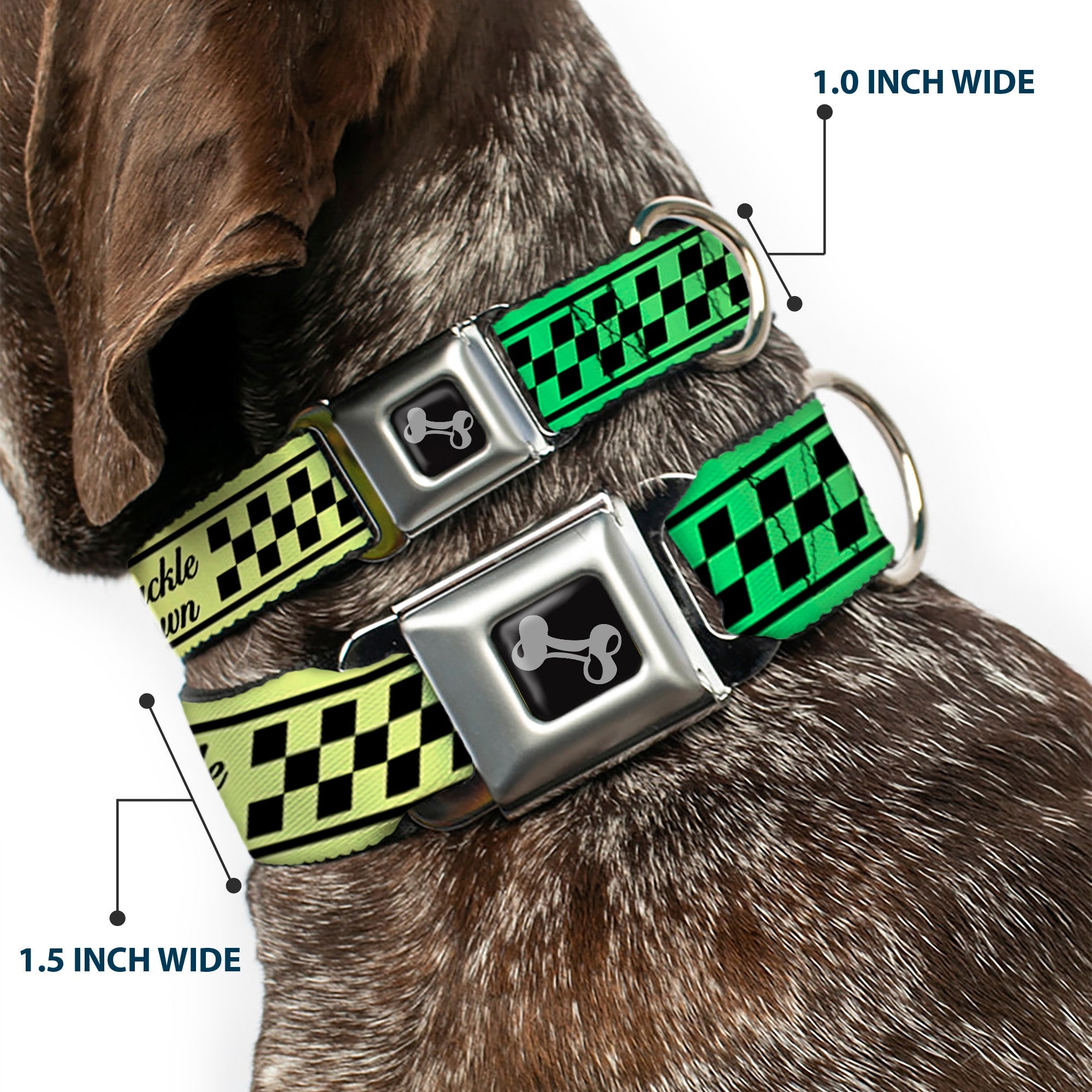 Dog Bone Seatbelt Buckle Collar - Buckle-Down Cab Stripe Green/Yellow Fade