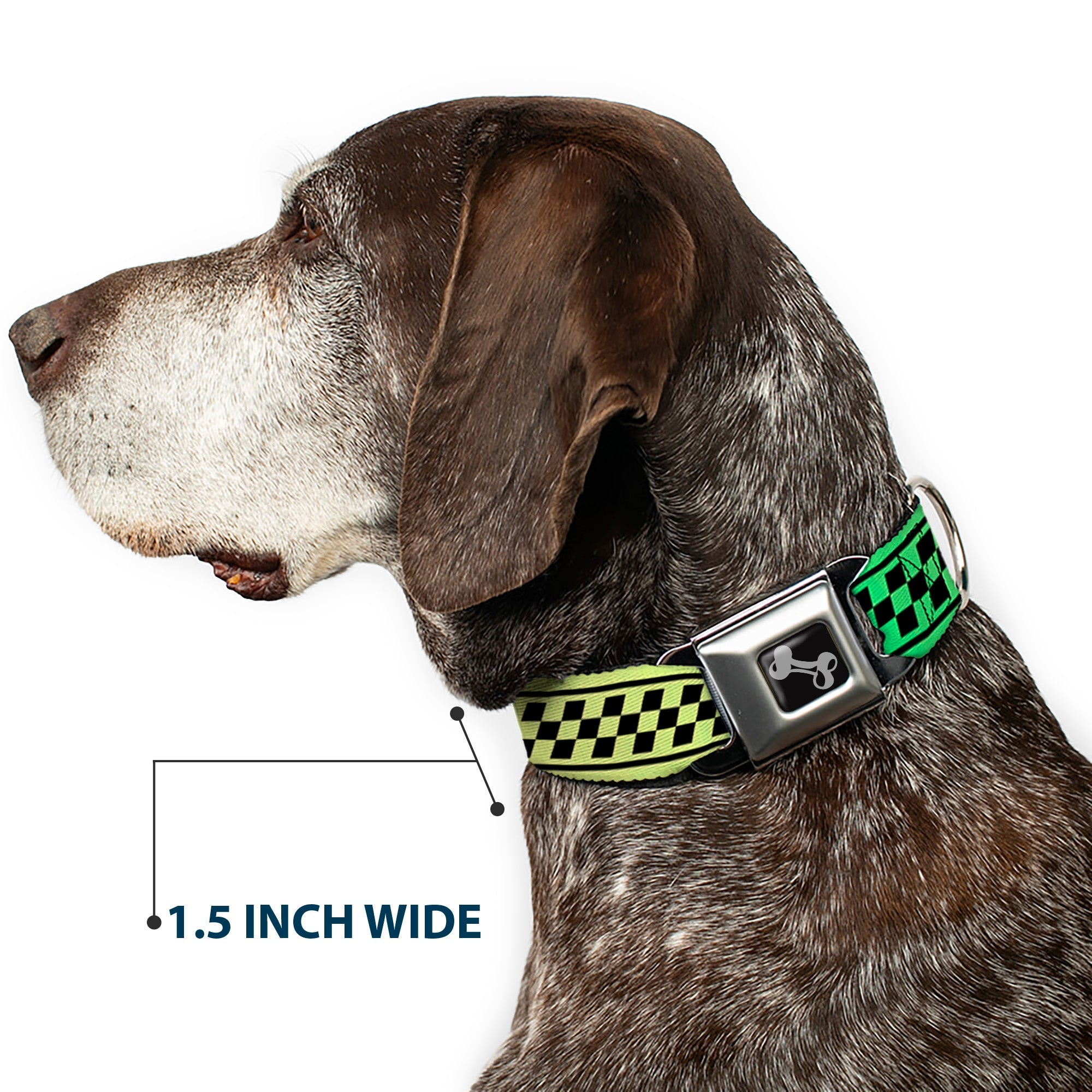Dog Bone Seatbelt Buckle Collar - Buckle-Down Cab Stripe Green/Yellow Fade
