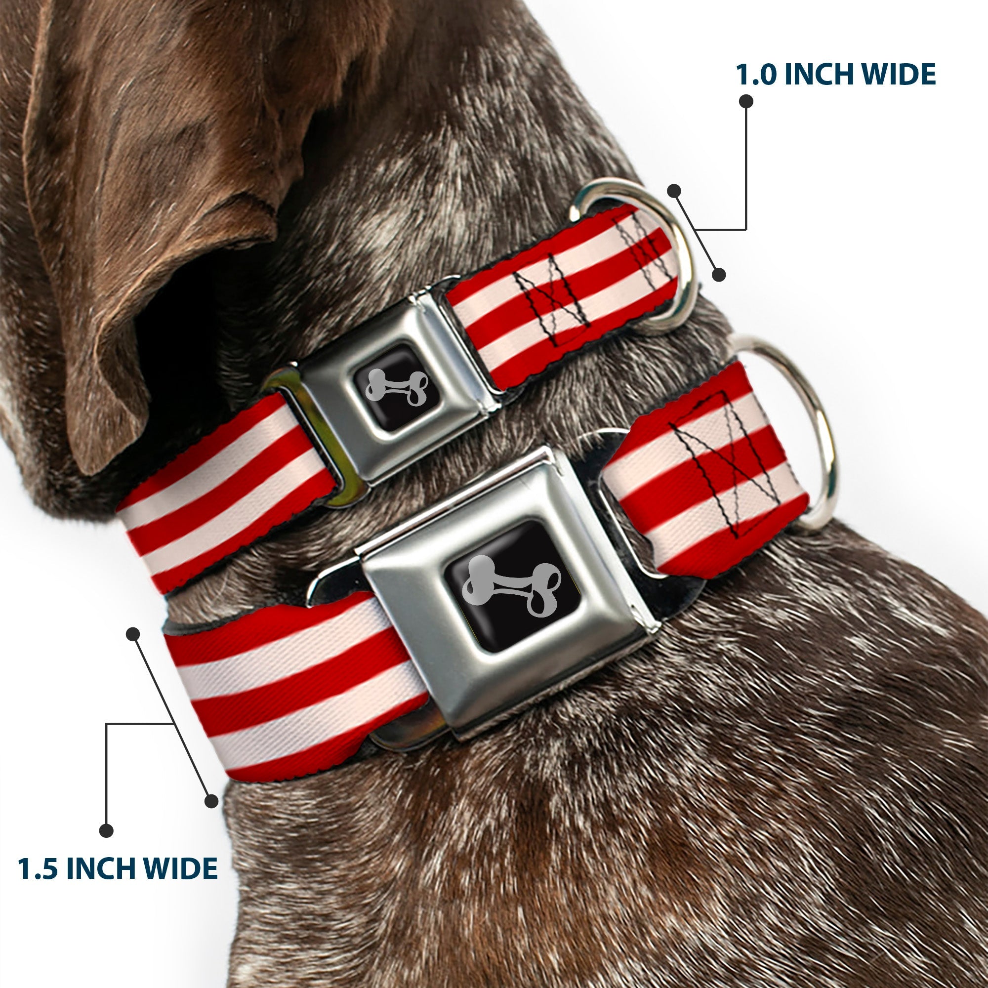 Dog Bone Seatbelt Buckle Collar - Bacon Stripe