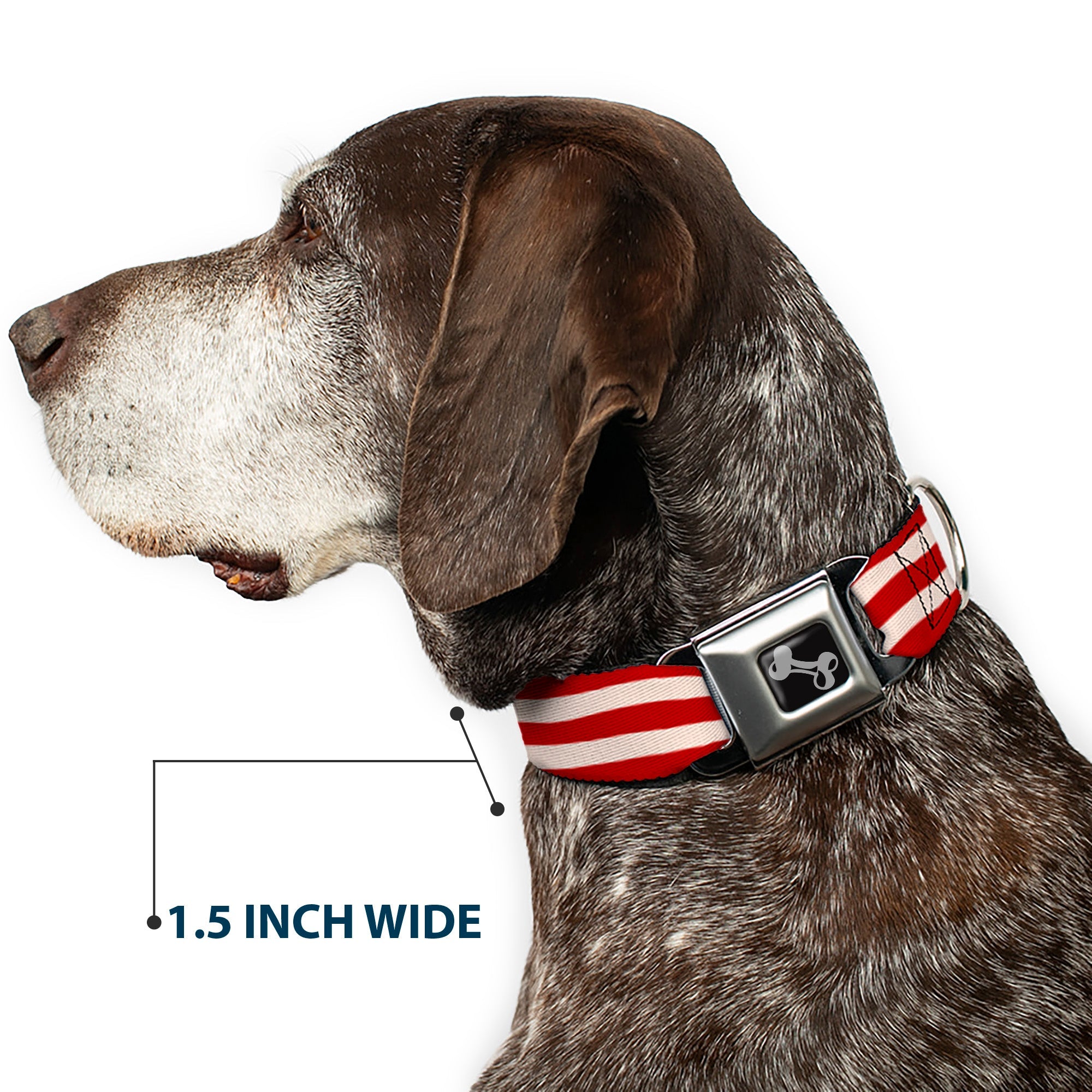 Dog Bone Seatbelt Buckle Collar - Bacon Stripe