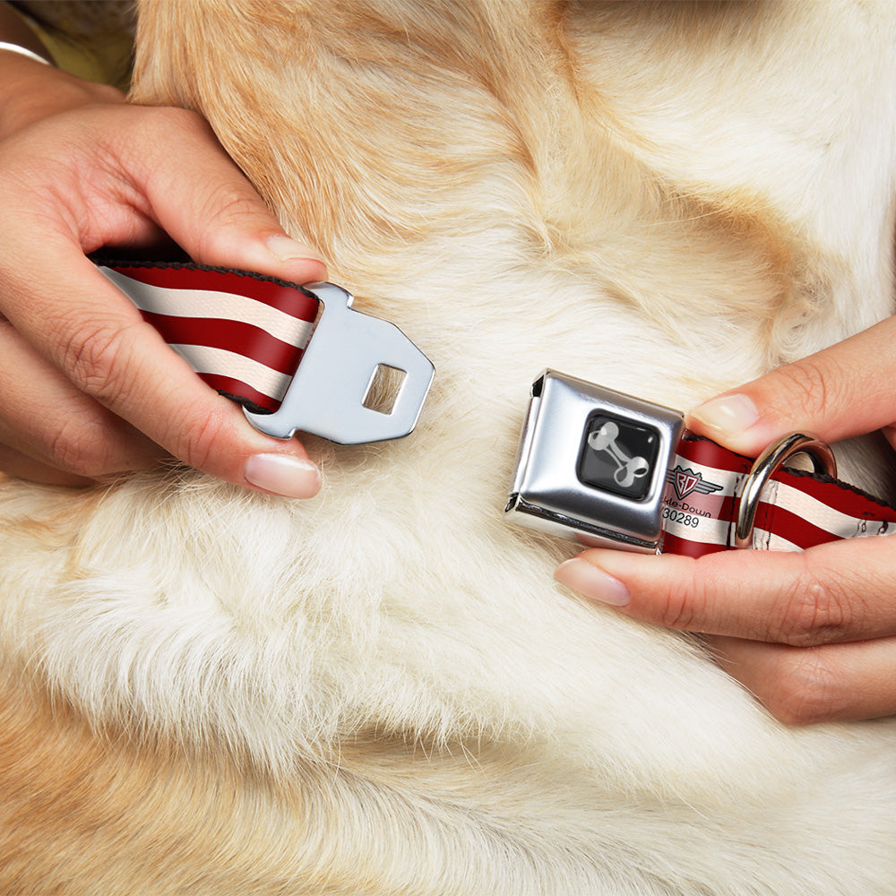 Dog Bone Seatbelt Buckle Collar - Bacon Stripe
