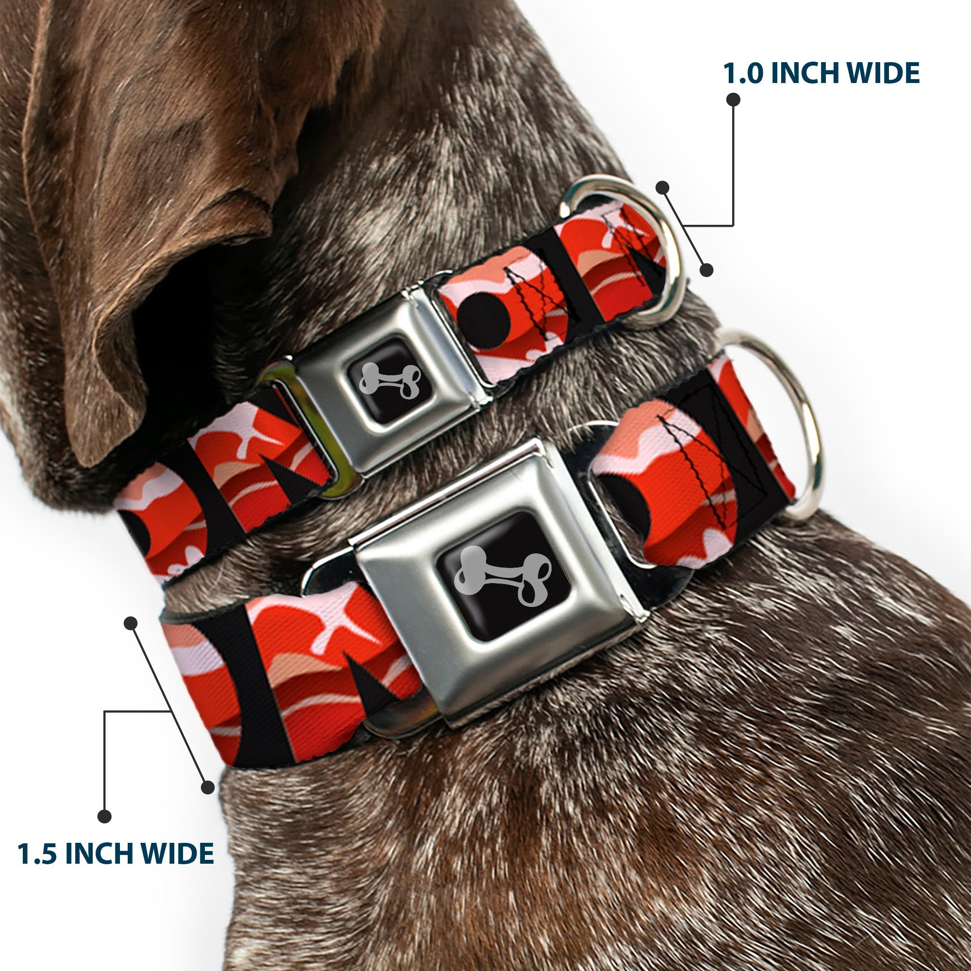 Dog Bone Seatbelt Buckle Collar - Bacon w/Text1