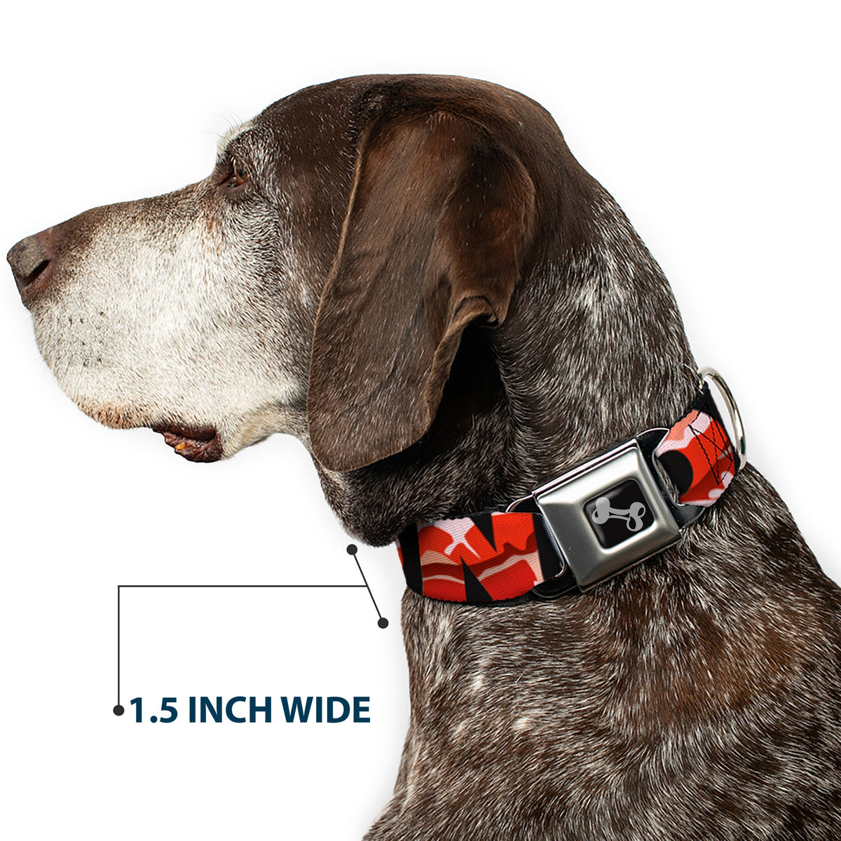 Dog Bone Seatbelt Buckle Collar - Bacon w/Text1