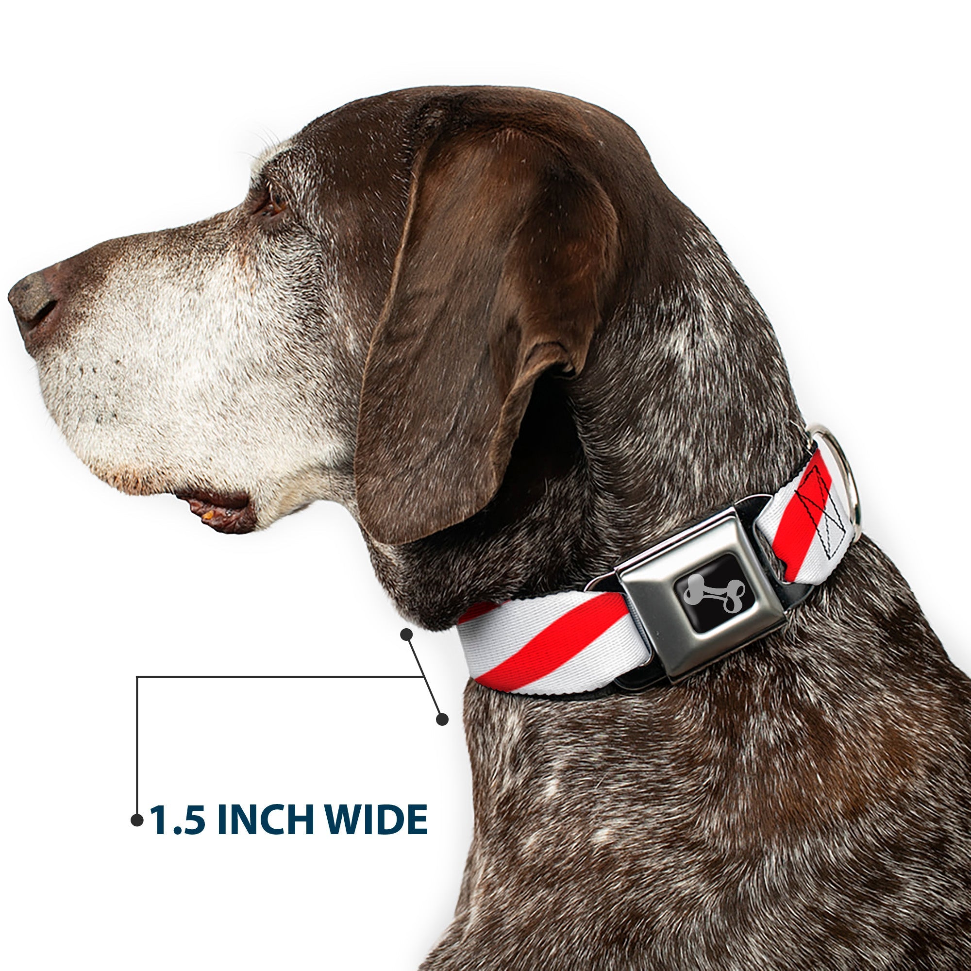 Dog Bone Seatbelt Buckle Collar - Candy Cane