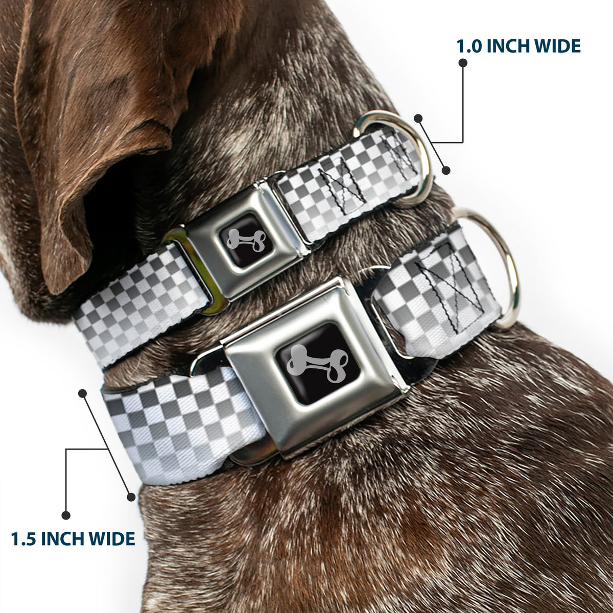 Dog Bone Seatbelt Buckle Collar - Checker Black/White Fade Out