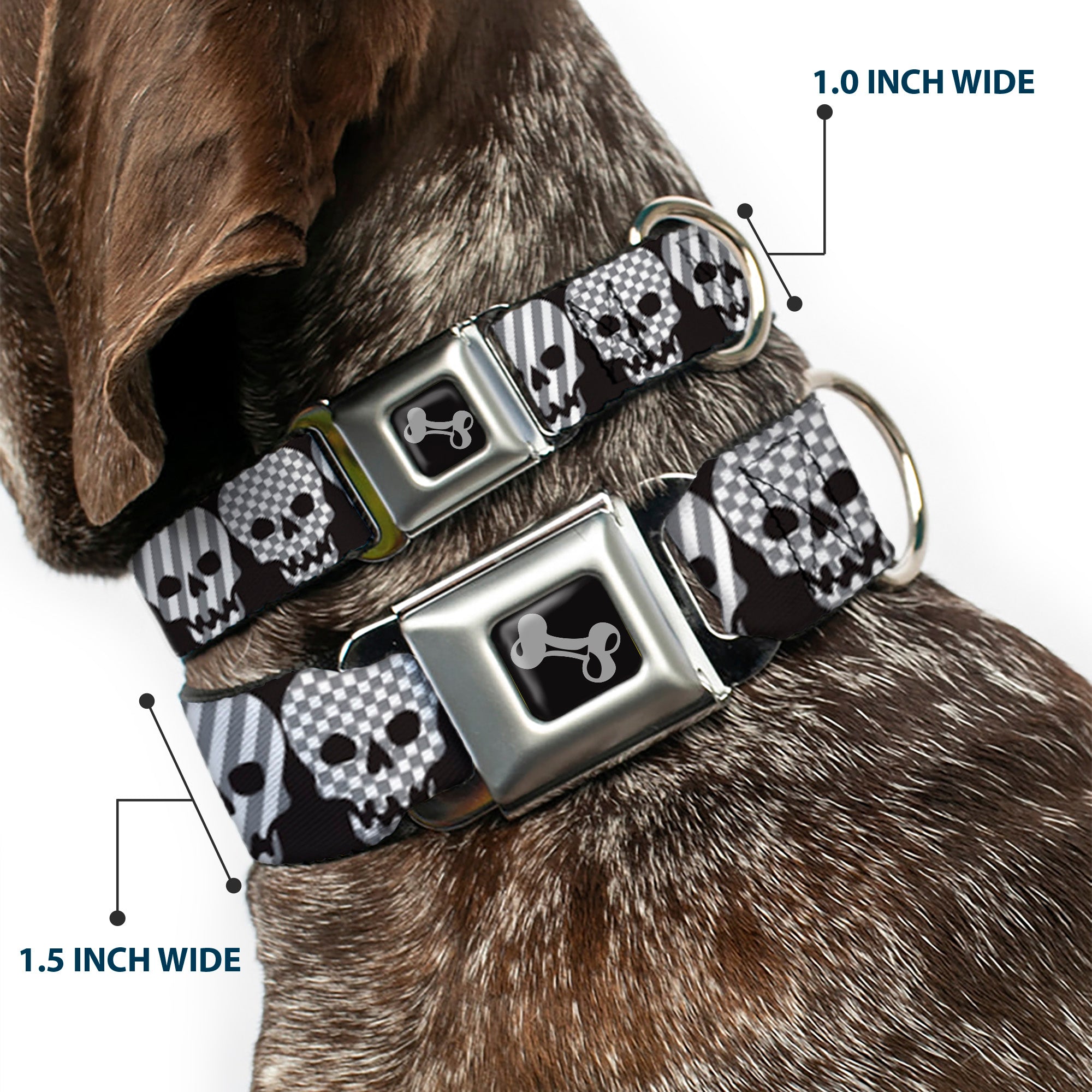 Dog Bone Seatbelt Buckle Collar - Checker & Stripe Skulls Black/White/Gray