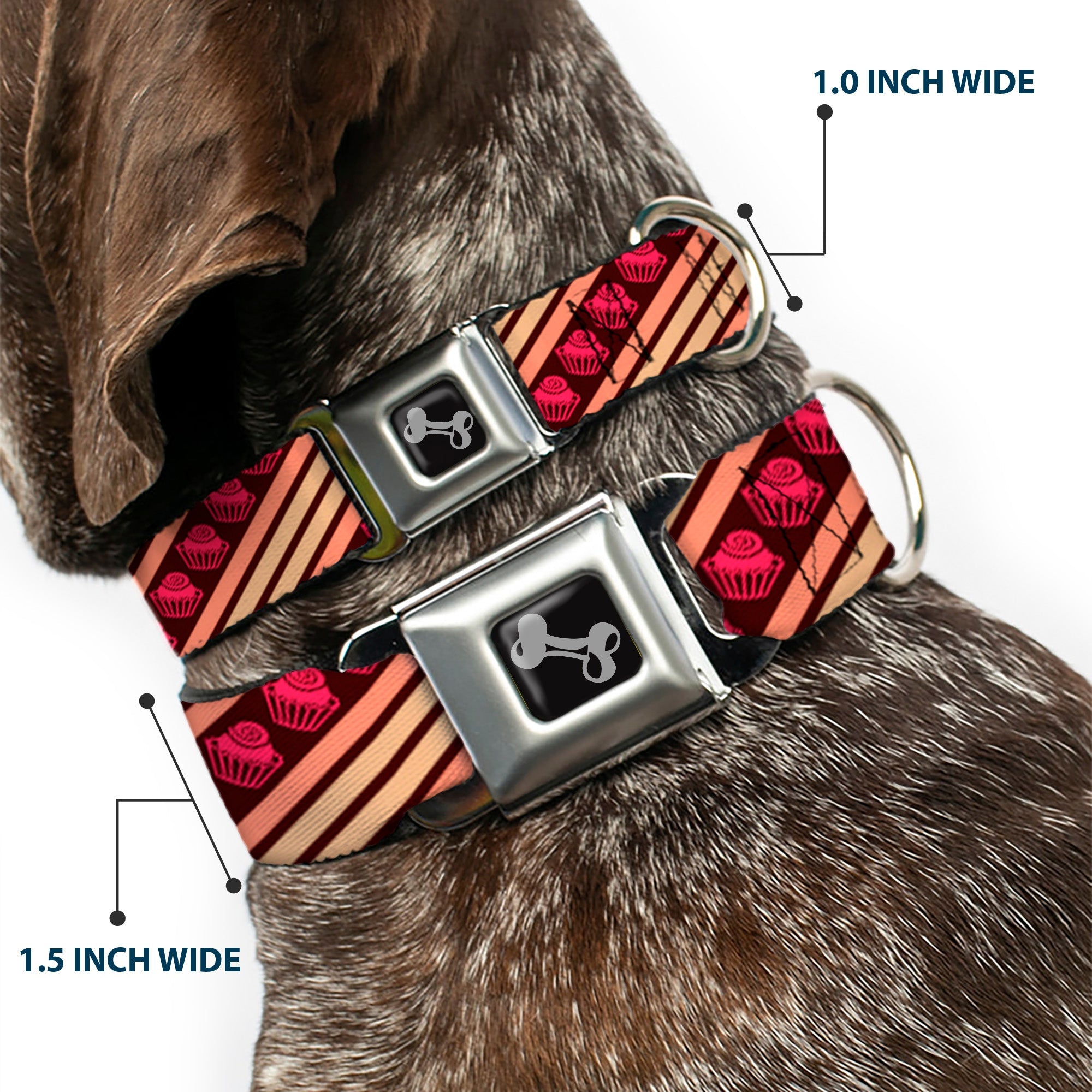 Dog Bone Seatbelt Buckle Collar - Cupcake Wallpaper