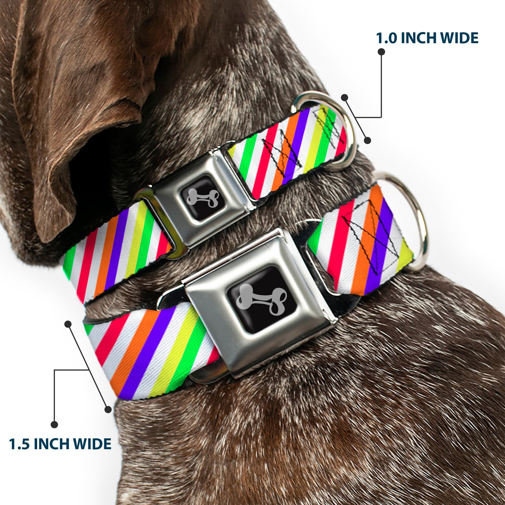Dog Bone Seatbelt Buckle Collar - Diagonal Stripes White/Multi Neon