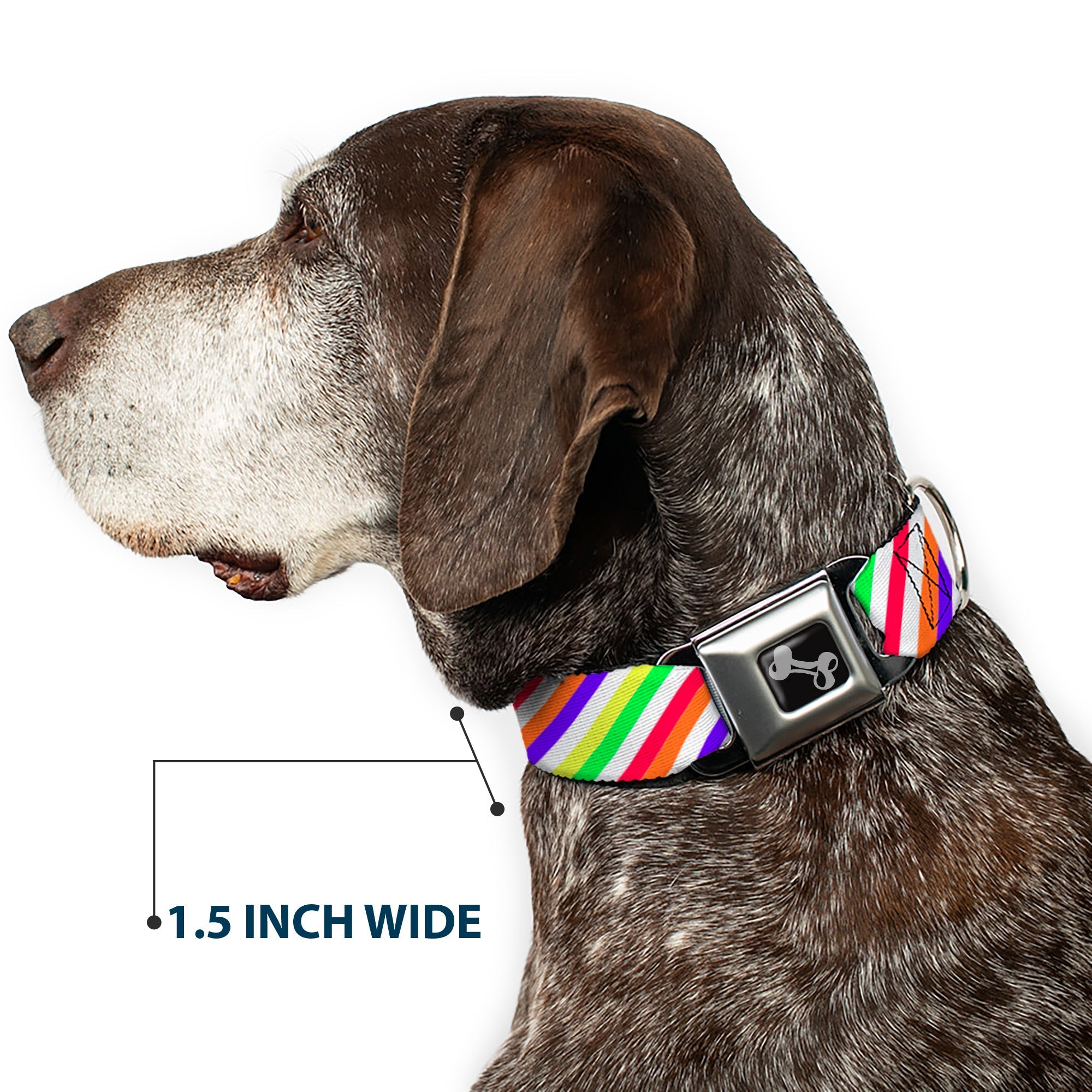 Dog Bone Seatbelt Buckle Collar - Diagonal Stripes White/Multi Neon