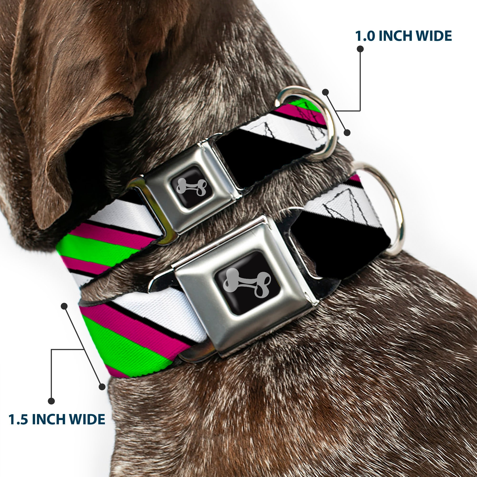 Dog Bone Seatbelt Buckle Collar - Diagonal Stripes Black/White/Pink/Green