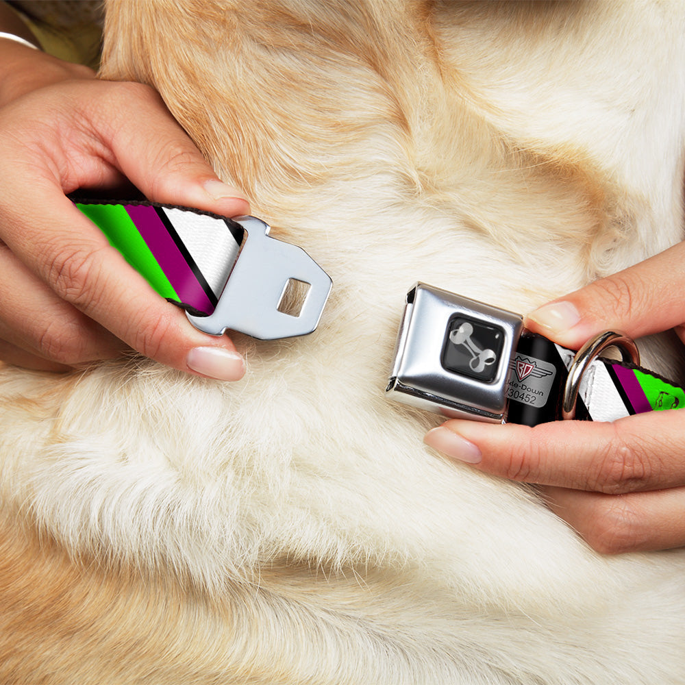 Dog Bone Seatbelt Buckle Collar - Diagonal Stripes Black/White/Pink/Green