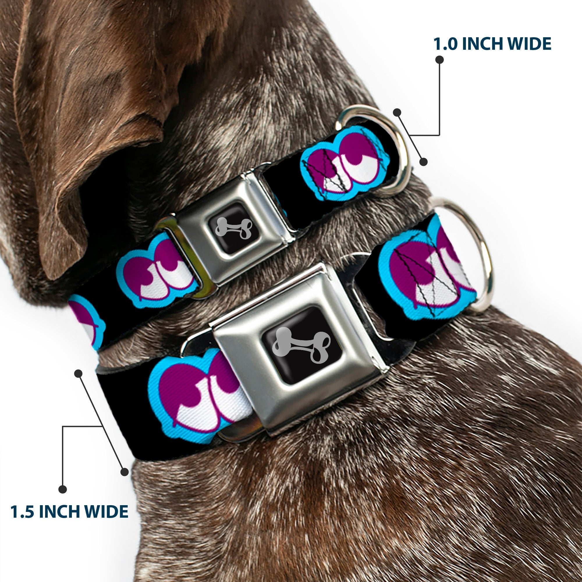 Dog Bone Seatbelt Buckle Collar - Dopey Eyes Black/Baby Blue/Purple