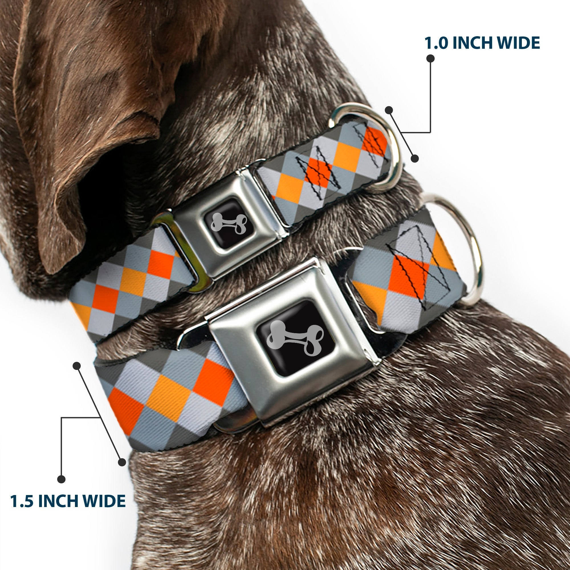 Dog Bone Seatbelt Buckle Collar - Diamond Plaid Grays/Orange