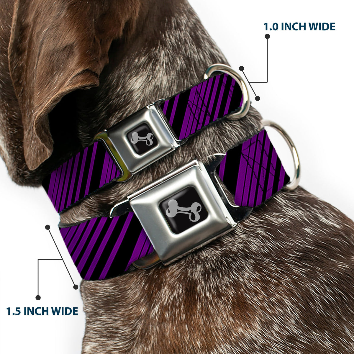 Dog Bone Seatbelt Buckle Collar - Diagonal Stripes Purples