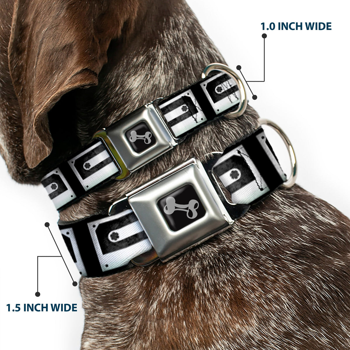 Dog Bone Seatbelt Buckle Collar - DC Cassette Tape