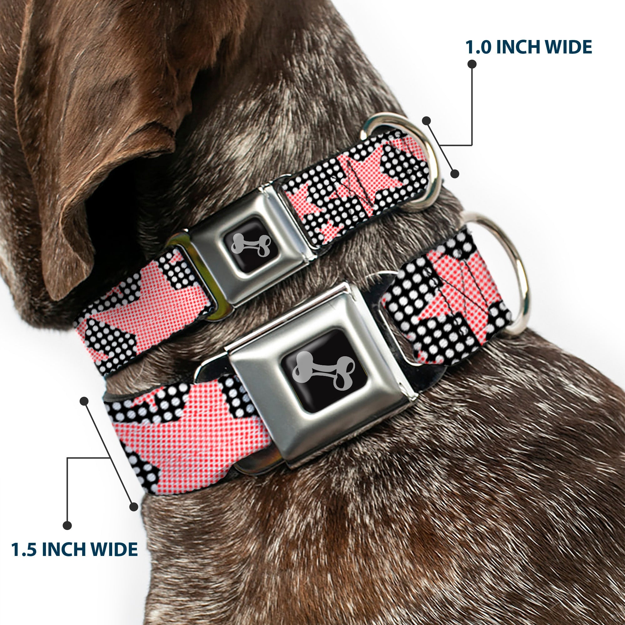 Dog Bone Seatbelt Buckle Collar - Eighties Stars2 Black/White/Red