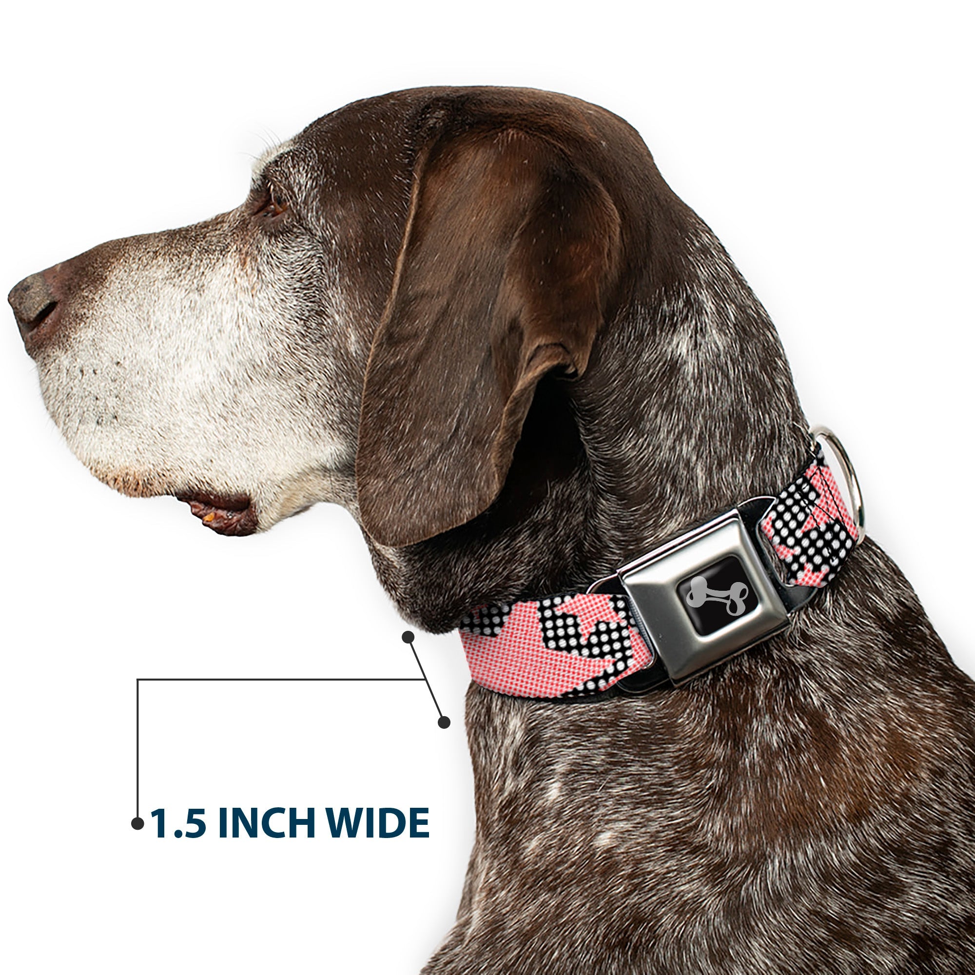 Dog Bone Seatbelt Buckle Collar - Eighties Stars2 Black/White/Red
