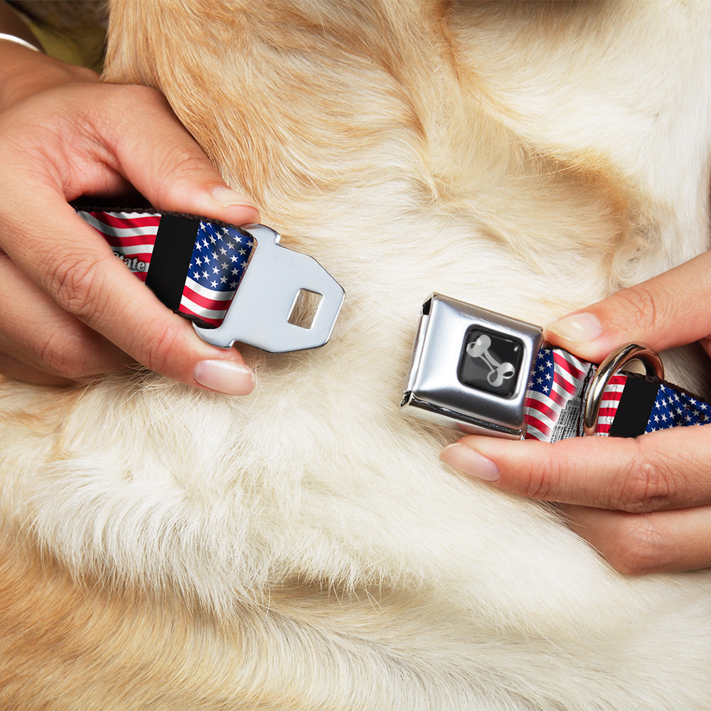 Dog Bone Seatbelt Buckle Collar - Empire State Building NYC