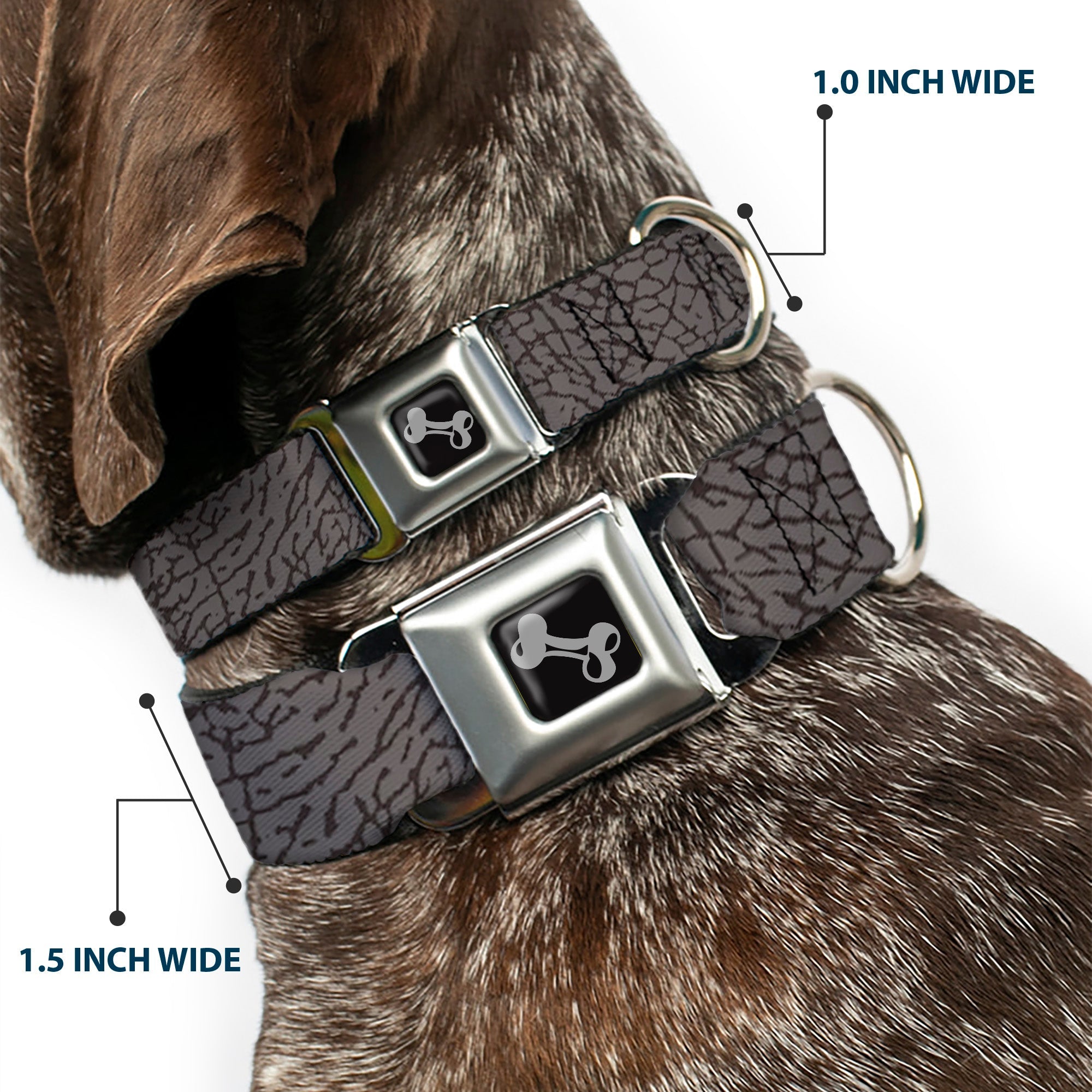 Dog Bone Seatbelt Buckle Collar - Elephant Crackle Grays