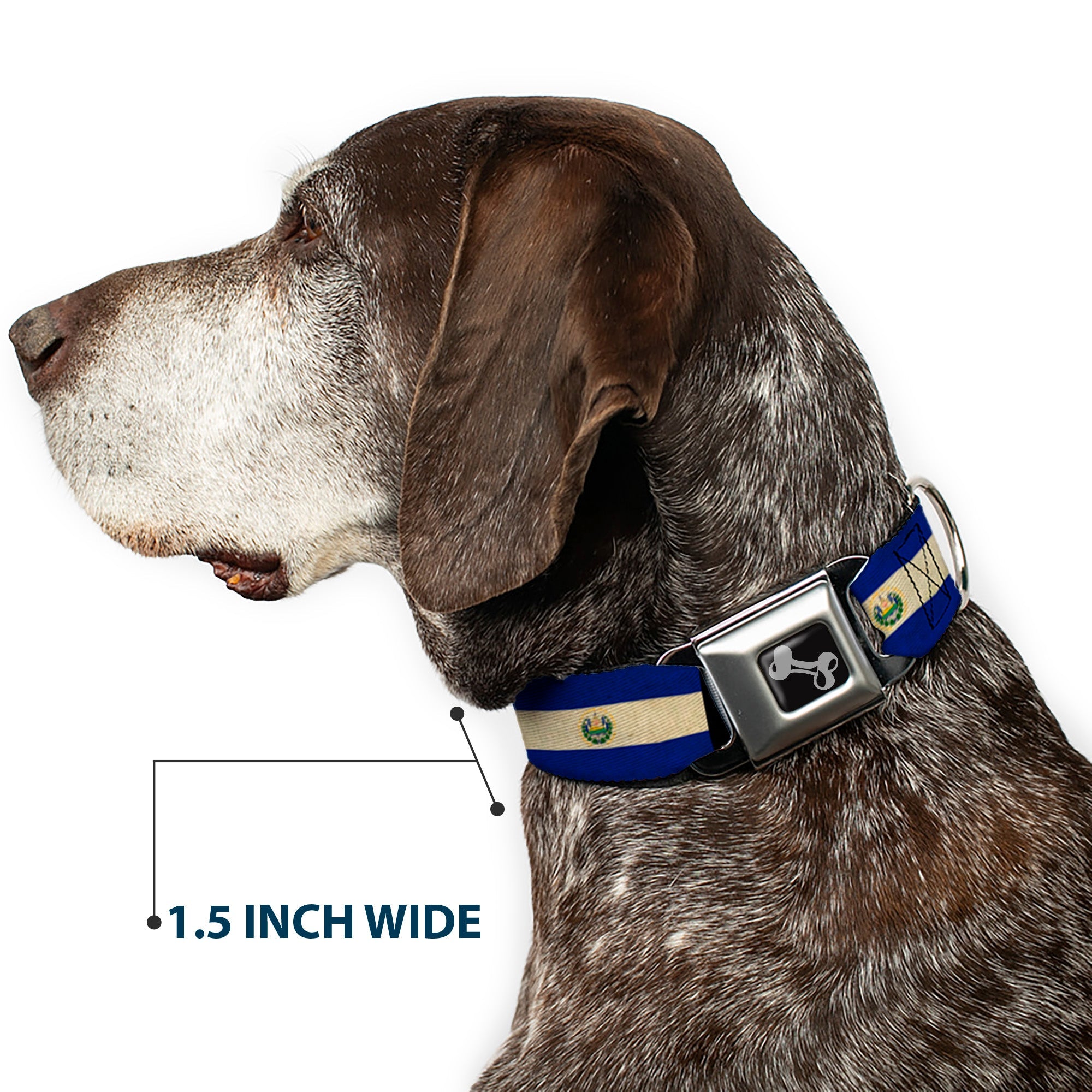 Dog Bone Seatbelt Buckle Collar - El Salvador Flag/Black