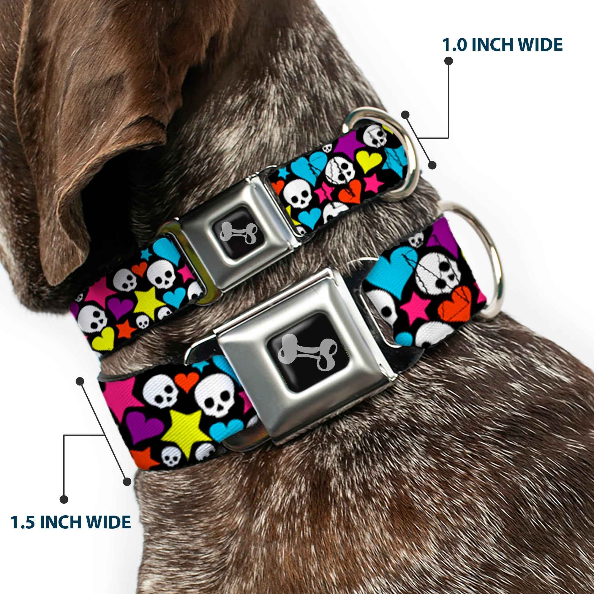 Buckle-Down Funky Skulls Hearts & Stars Black/Multicolor Seatbelt Buckle Dog Collar