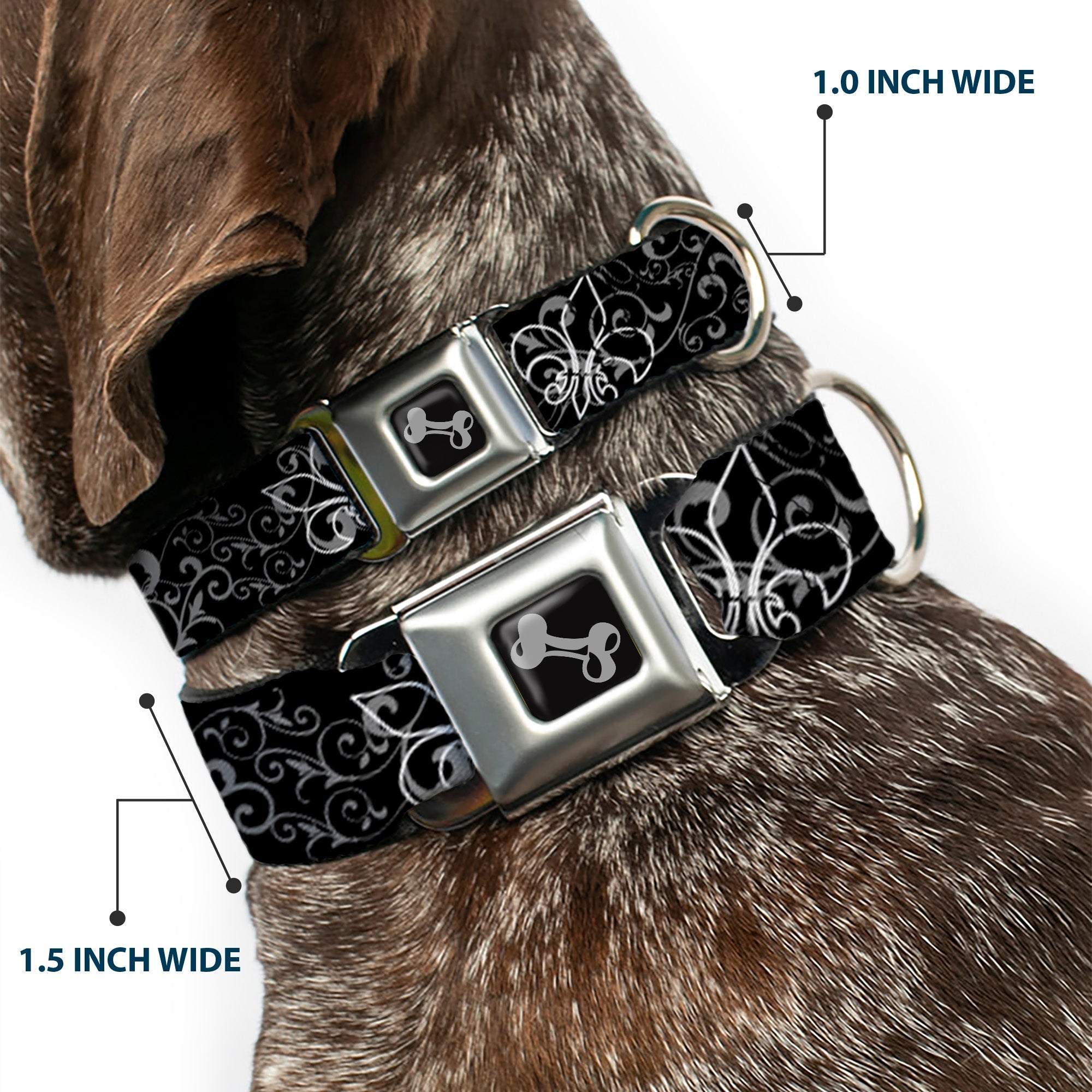Dog Bone Seatbelt Buckle Collar - Fleur-de-Lis Outline w/Filigree Black/Gray