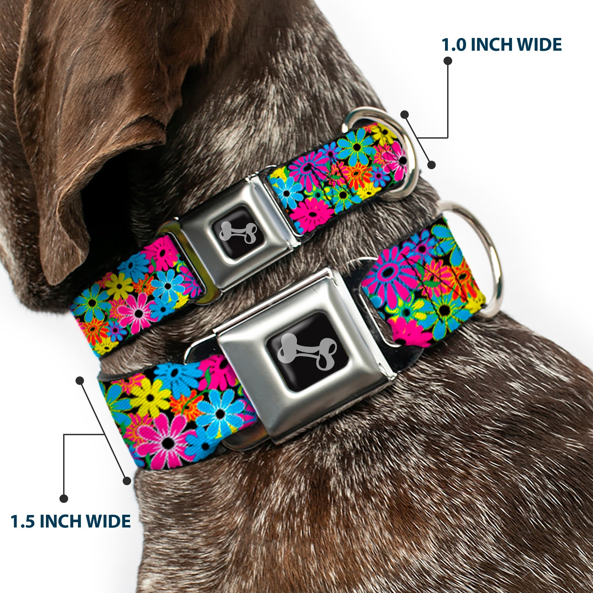 Dog Bone Seatbelt Buckle Collar - Flower Blossom