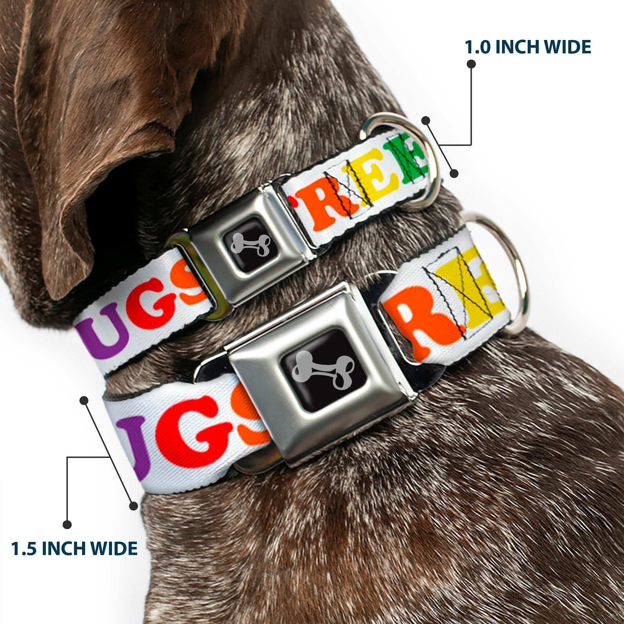 Dog Bone Seatbelt Buckle Collar - FREE HUGS White/Multi Color