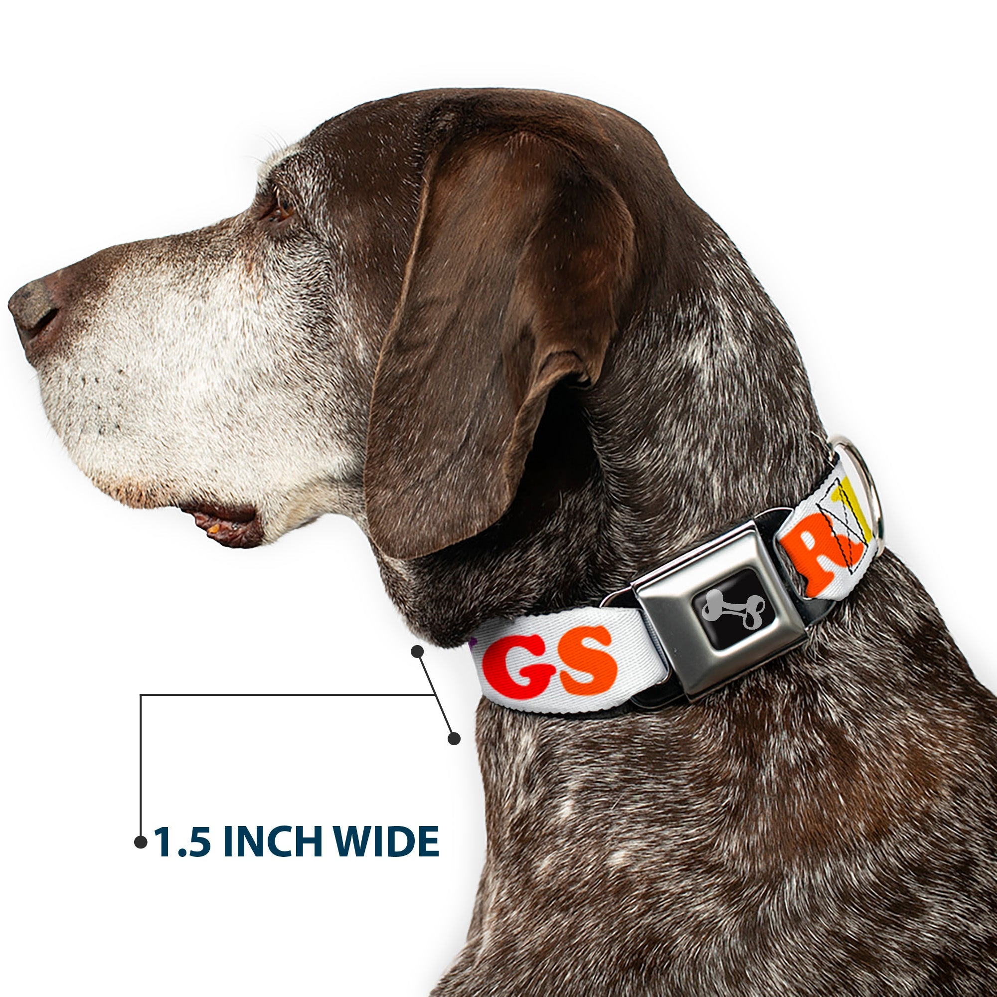 Dog Bone Seatbelt Buckle Collar - FREE HUGS White/Multi Color