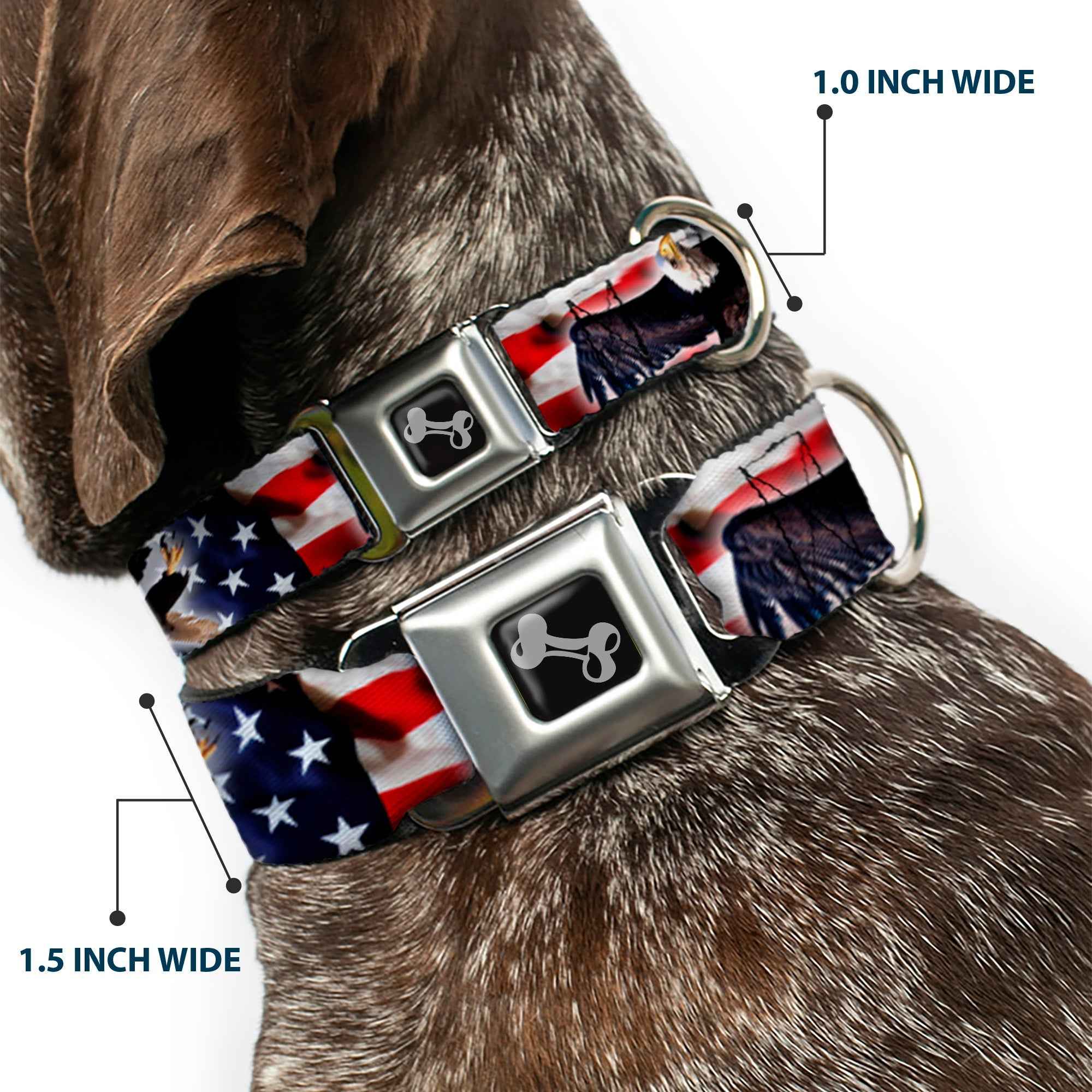 Buckle-Down Flying Eagle/American Flag Seatbelt Buckle Dog Collar