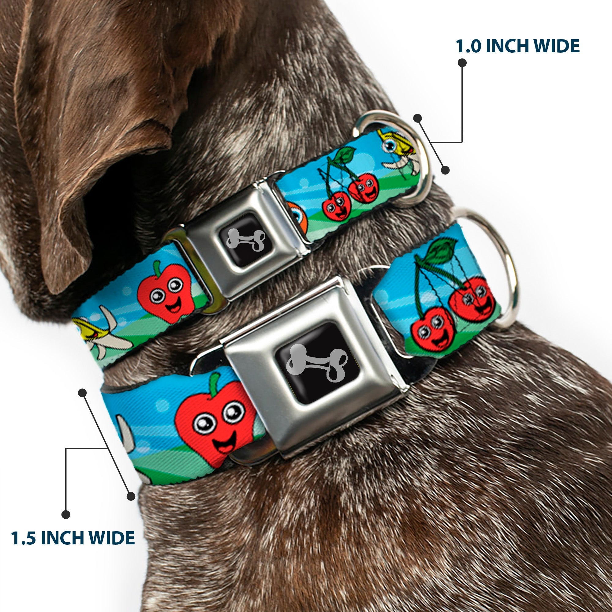 Dog Bone Seatbelt Buckle Collar - Fruit Cartoon2