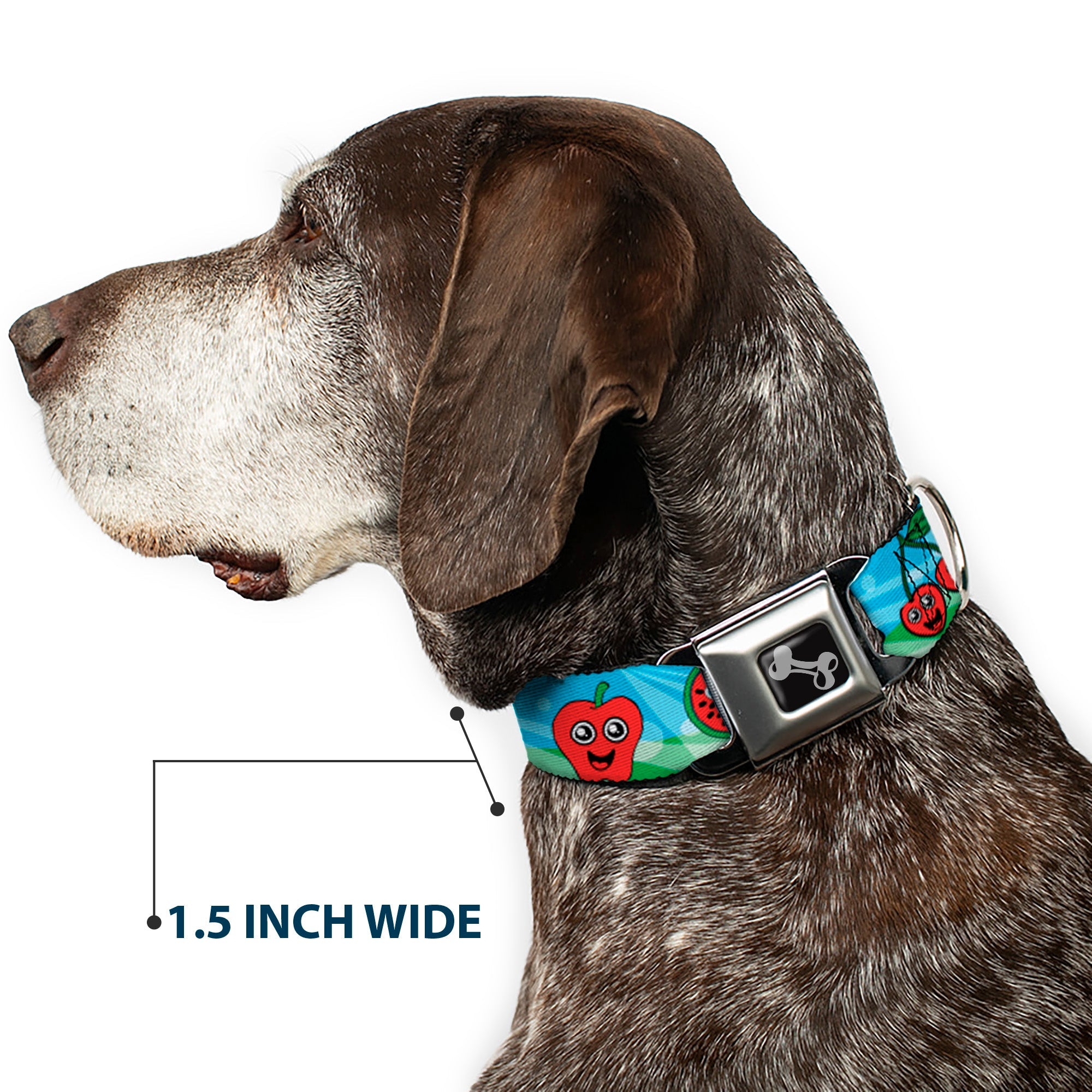 Dog Bone Seatbelt Buckle Collar - Fruit Cartoon2