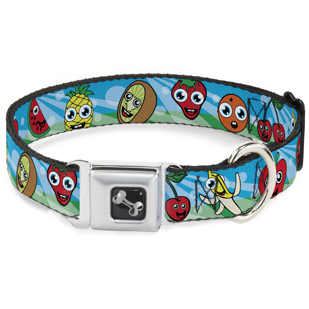Dog Bone Seatbelt Buckle Collar - Fruit Cartoon2