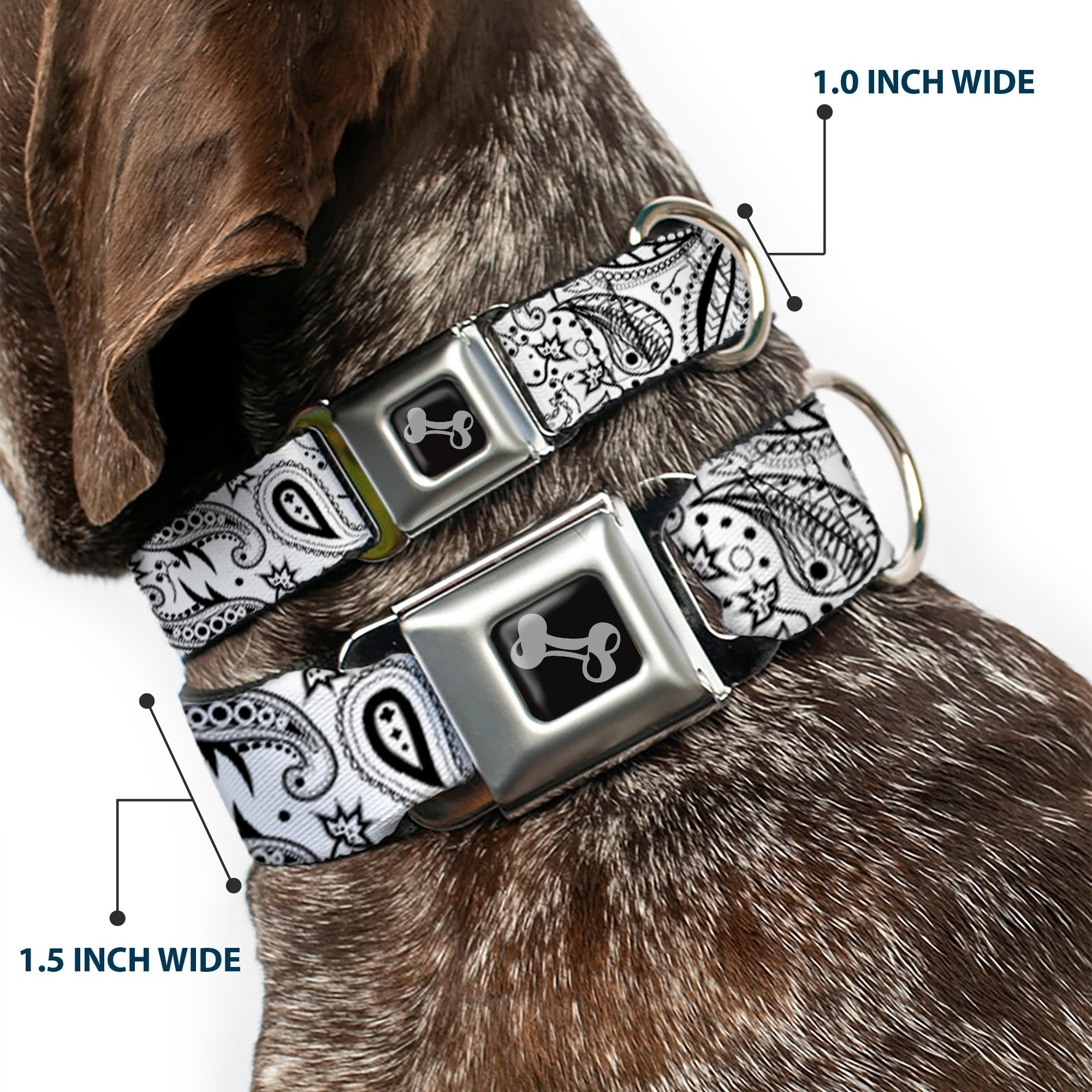 Dog Bone Seatbelt Buckle Collar - Floral Paisley3 White/Black