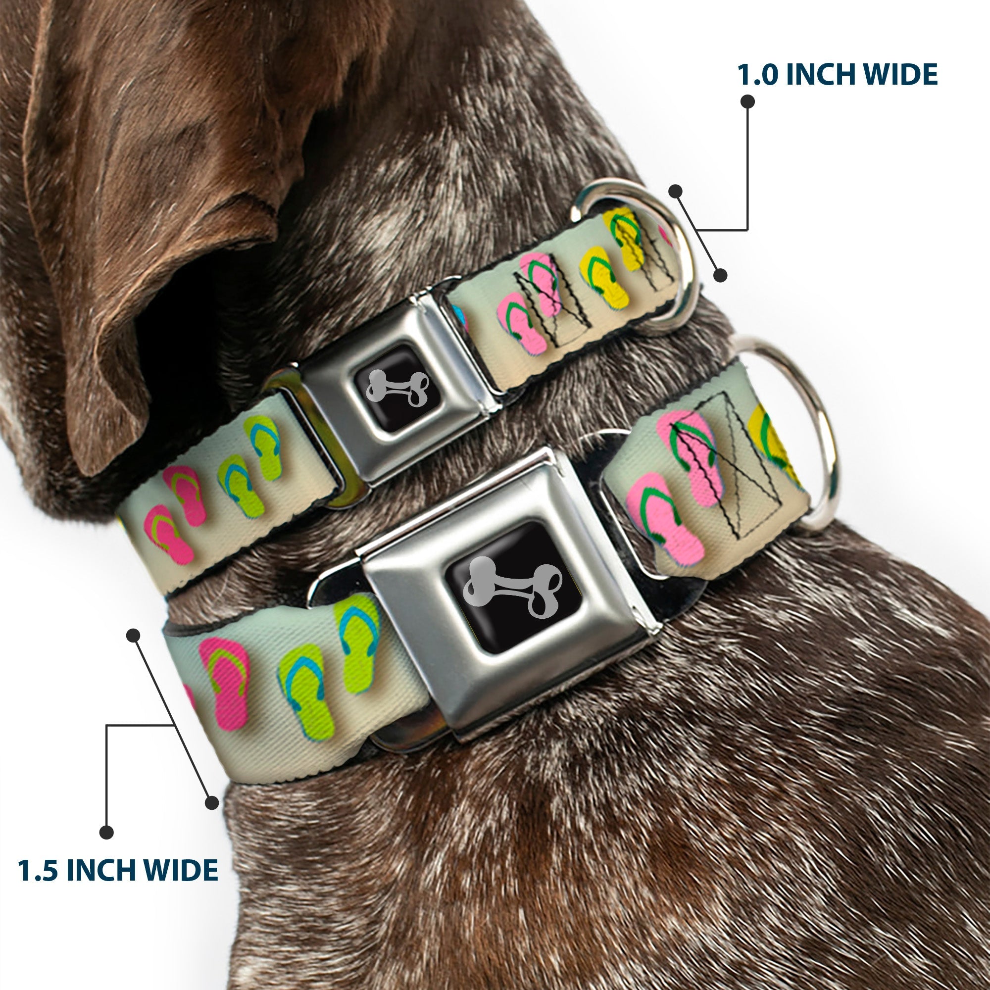 Dog Bone Seatbelt Buckle Collar - Flip Flops2 Aqua/Multi Color