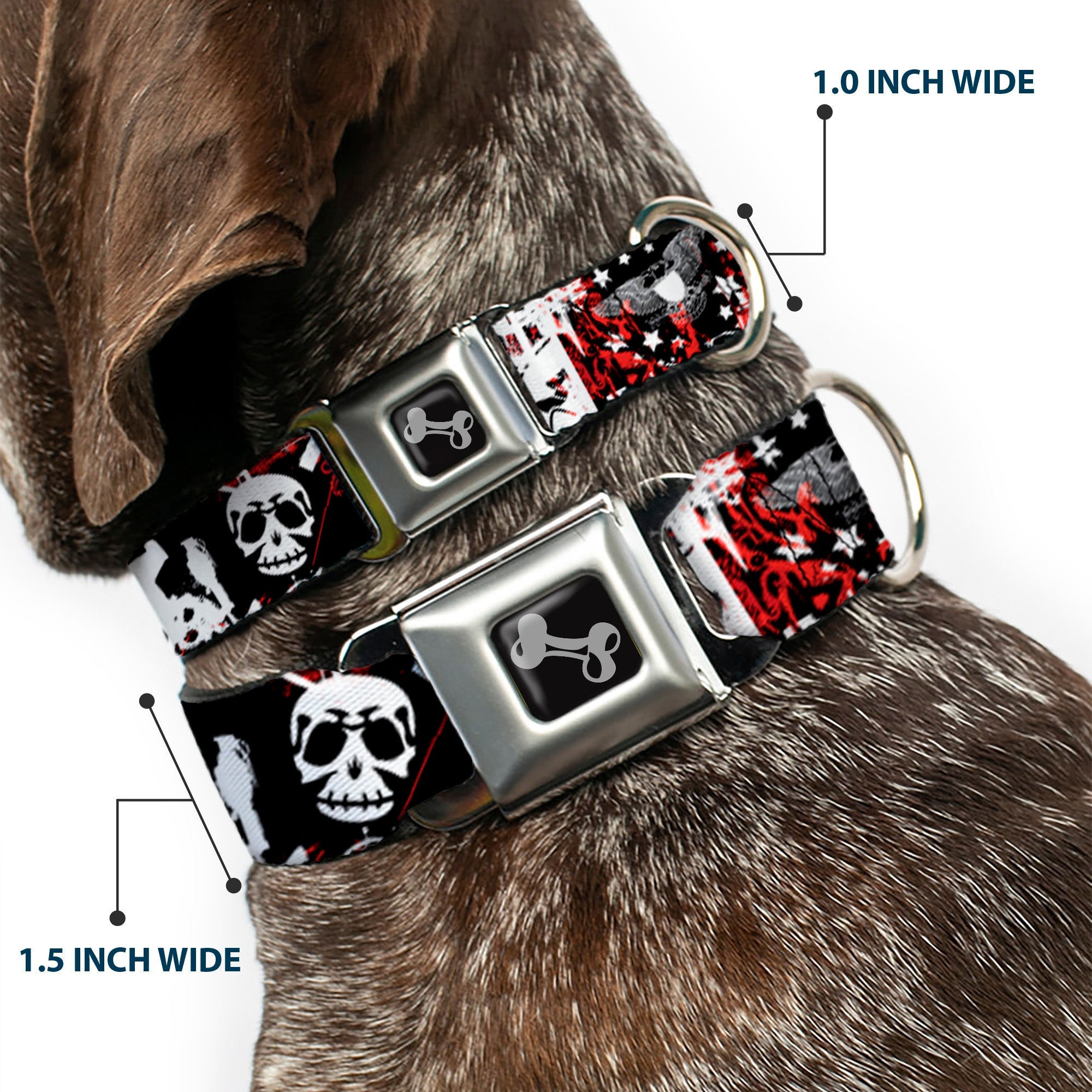 Buckle-Down Seatbelt Buckle Dog Collar - Graffiti Men's