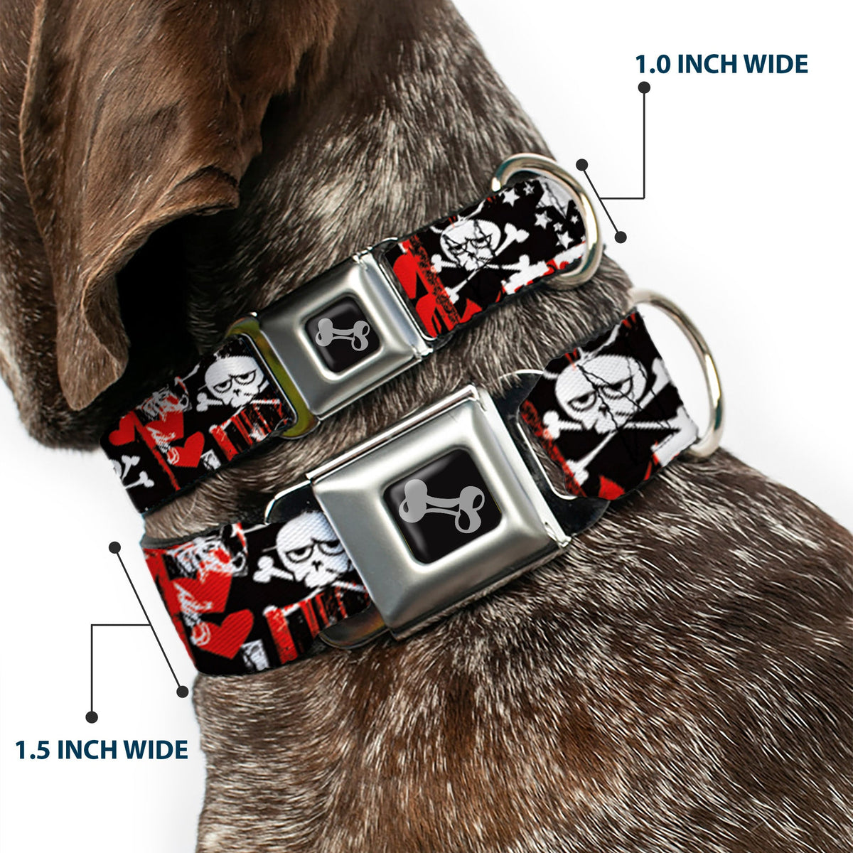 Buckle-Down Seatbelt Buckle Dog Collar - Graffiti Womens