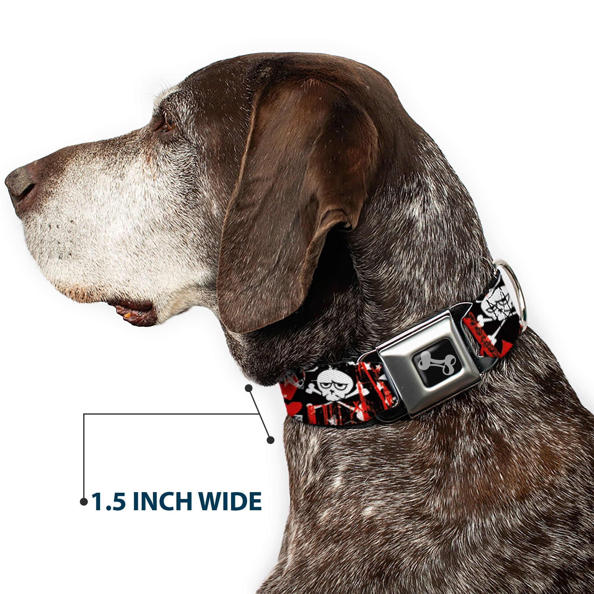 Buckle-Down Seatbelt Buckle Dog Collar - Graffiti Womens